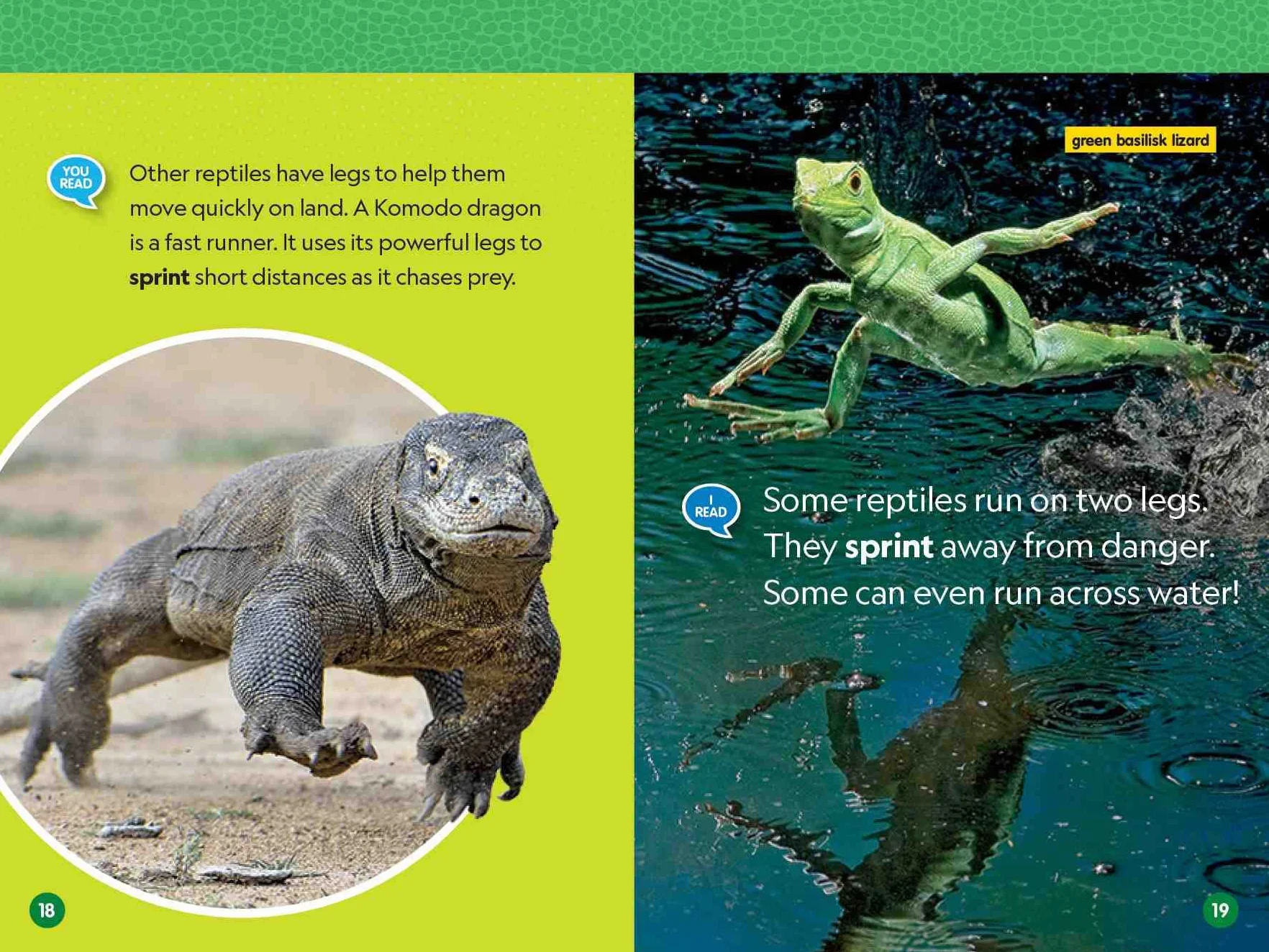 National Geographic Reader: Reptiles (L1/Co-reader)