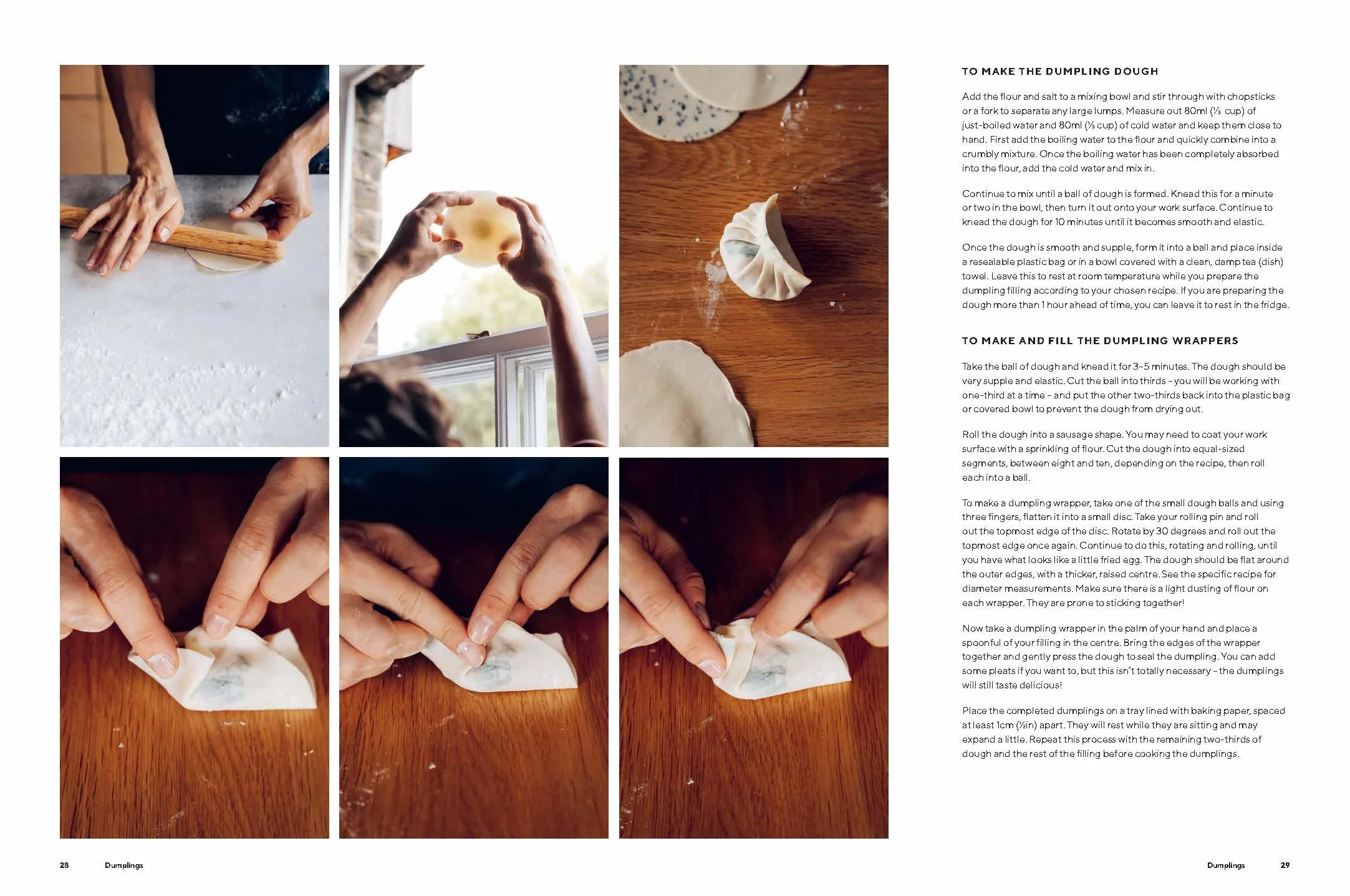 Dumplings and Noodles: Over 70 Modern Recipes for the Home Cook