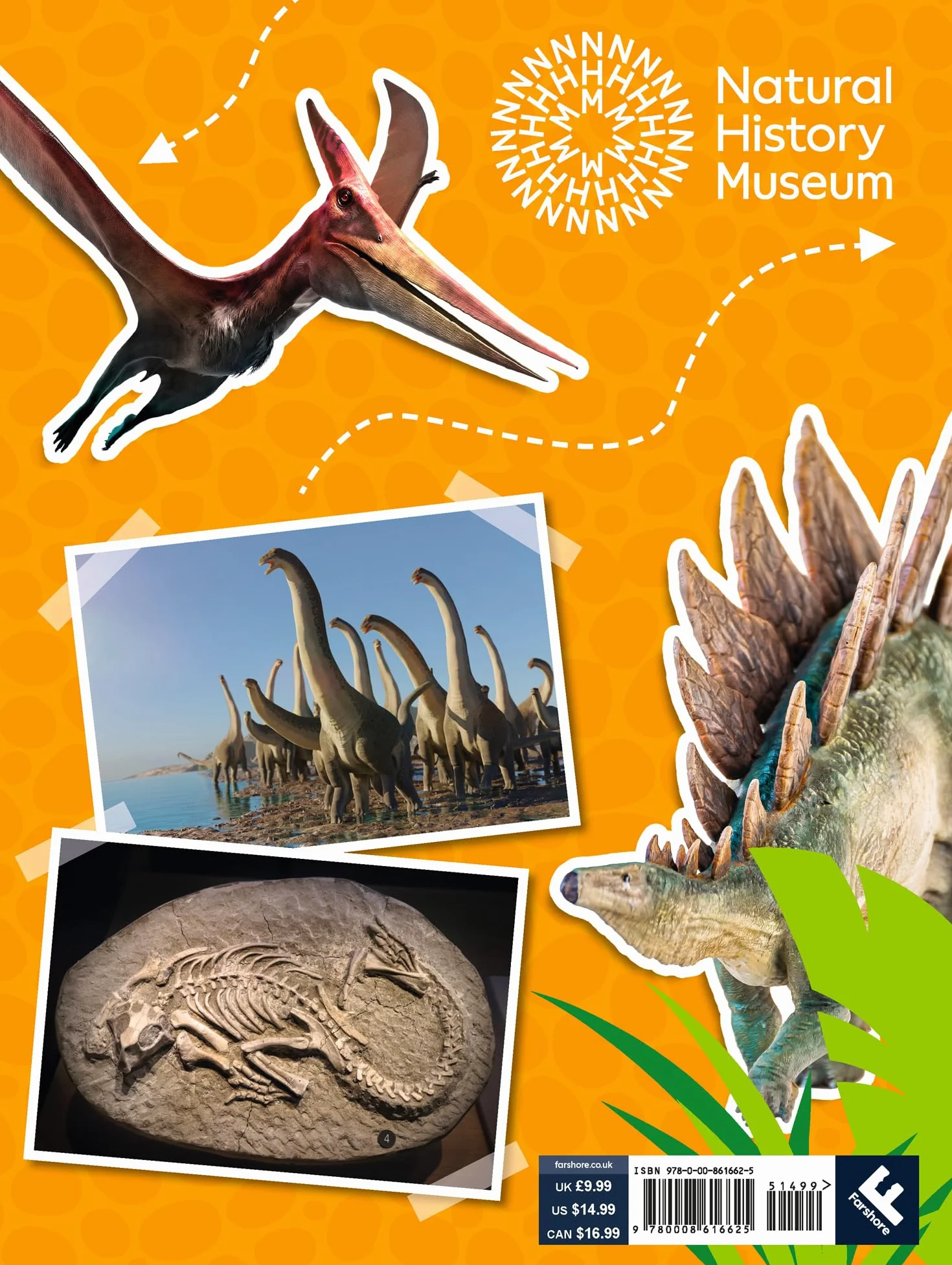 Natural History Museum Dinosaurs Annual 2025: The ultimate illustrated gift book for every young dinosaur and natural history fan, packed with facts, activities, crafts and more!
