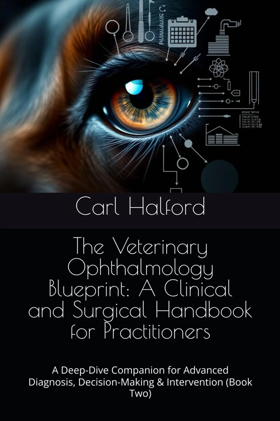The Veterinary Ophthalmology Blueprint: A Clinical and Surgical Handbook for Practitioners: A Deep-Dive Companion for Advanced Diagnosis, Decision-Making & Intervention (Book Two)