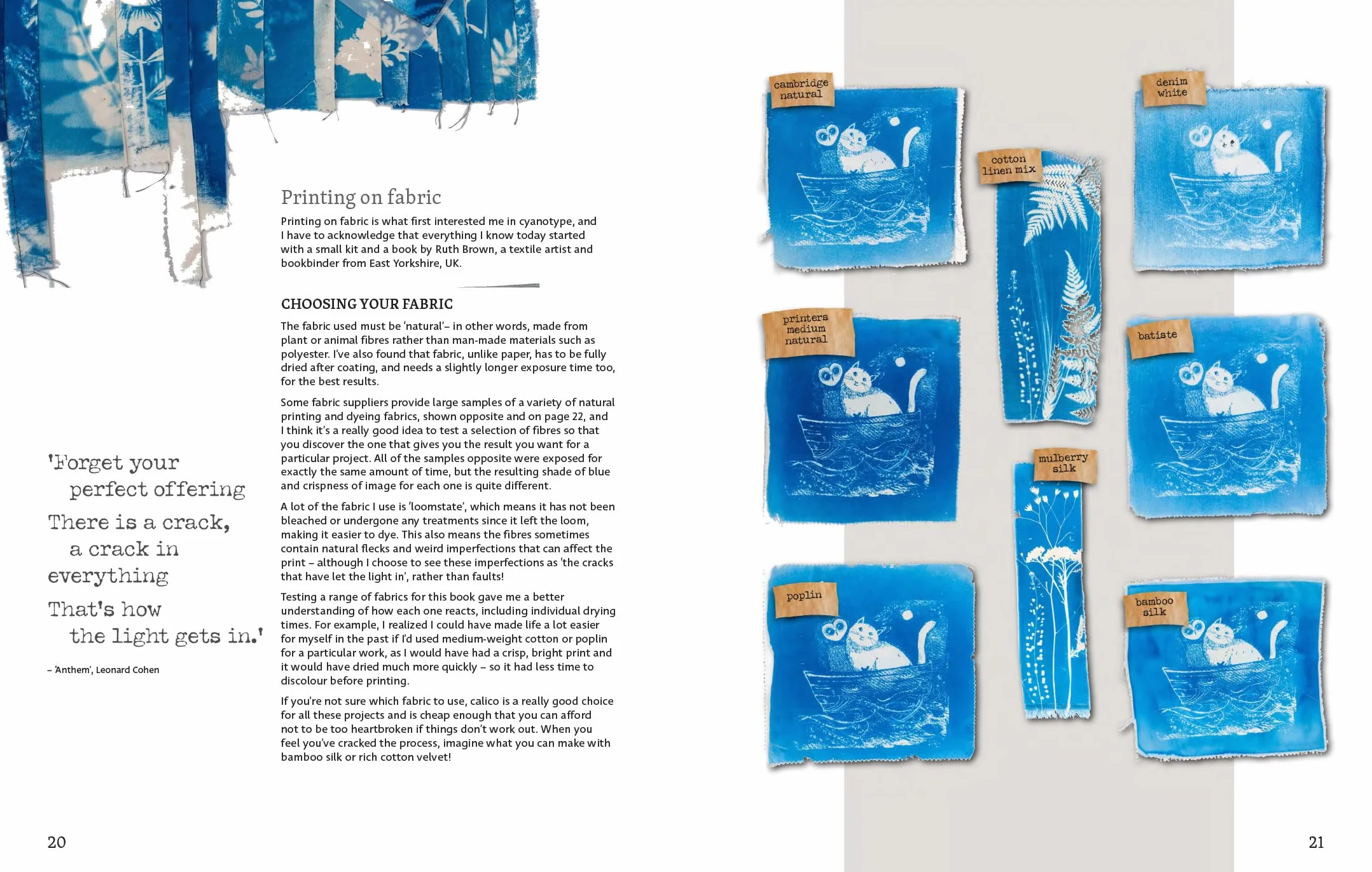 Beginner's Guide to Cyanotype: Beautiful Projects to Print with Light