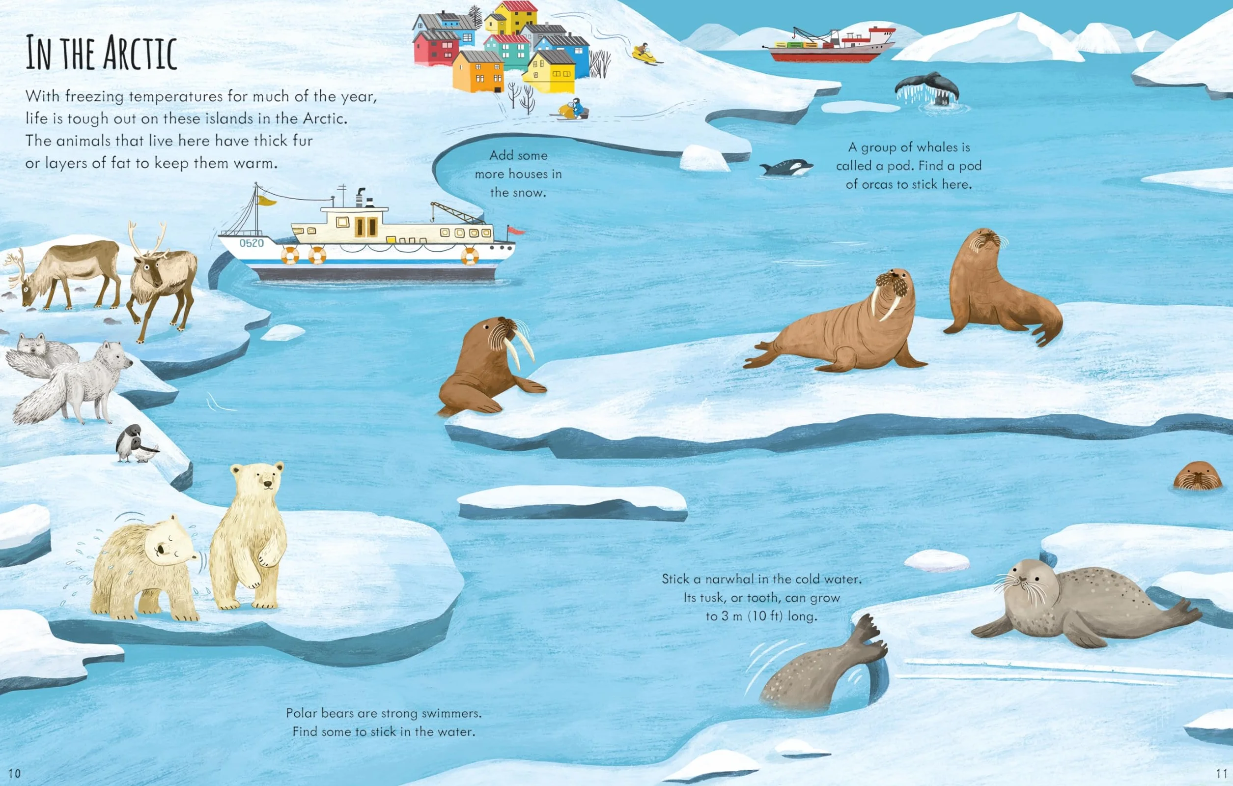 First Sticker Book Planet Earth (First Sticker Books)