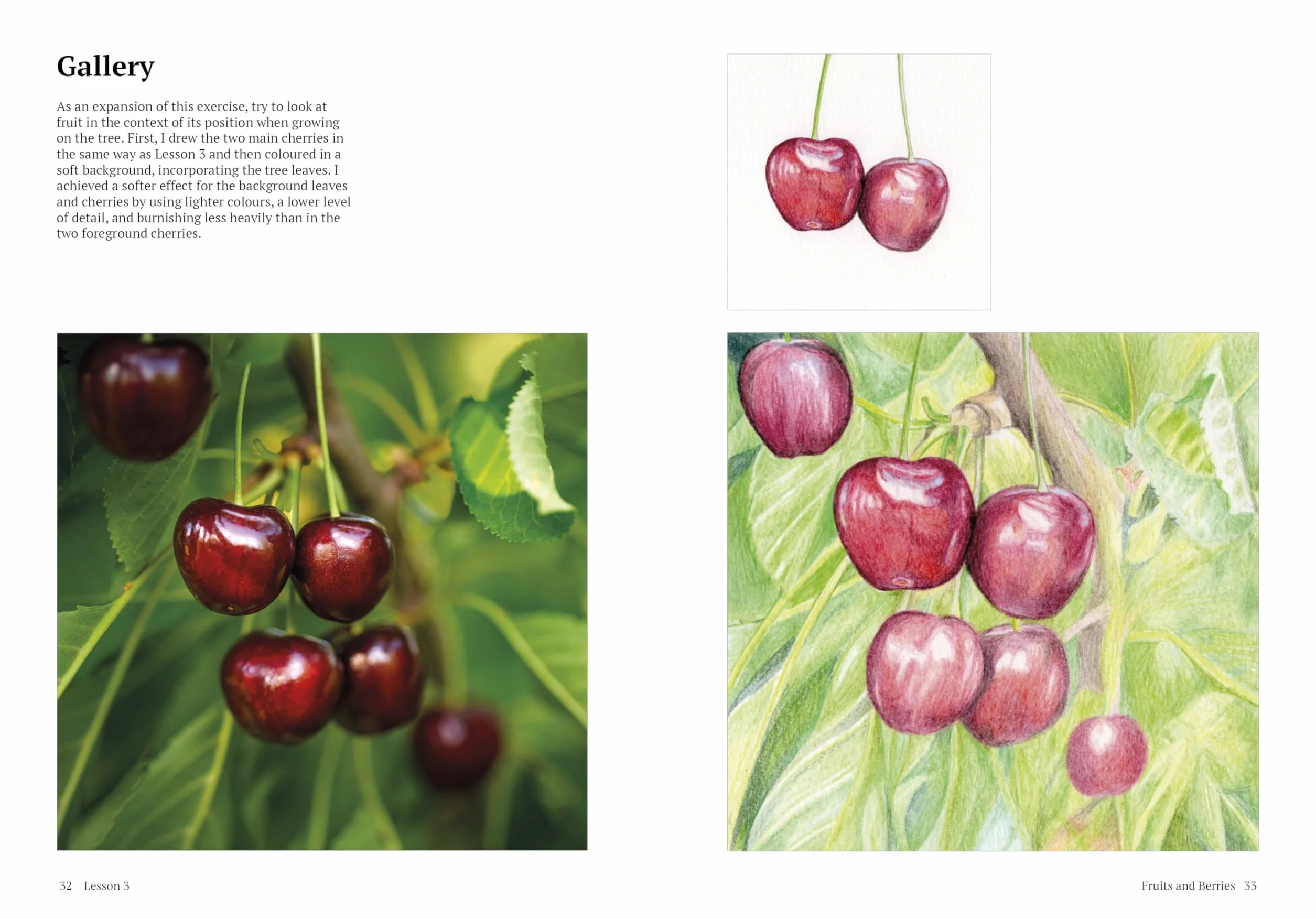 How to Draw a Tree: From the Fruit to the Forest: A Step-By-Step Course for the Nature Artist