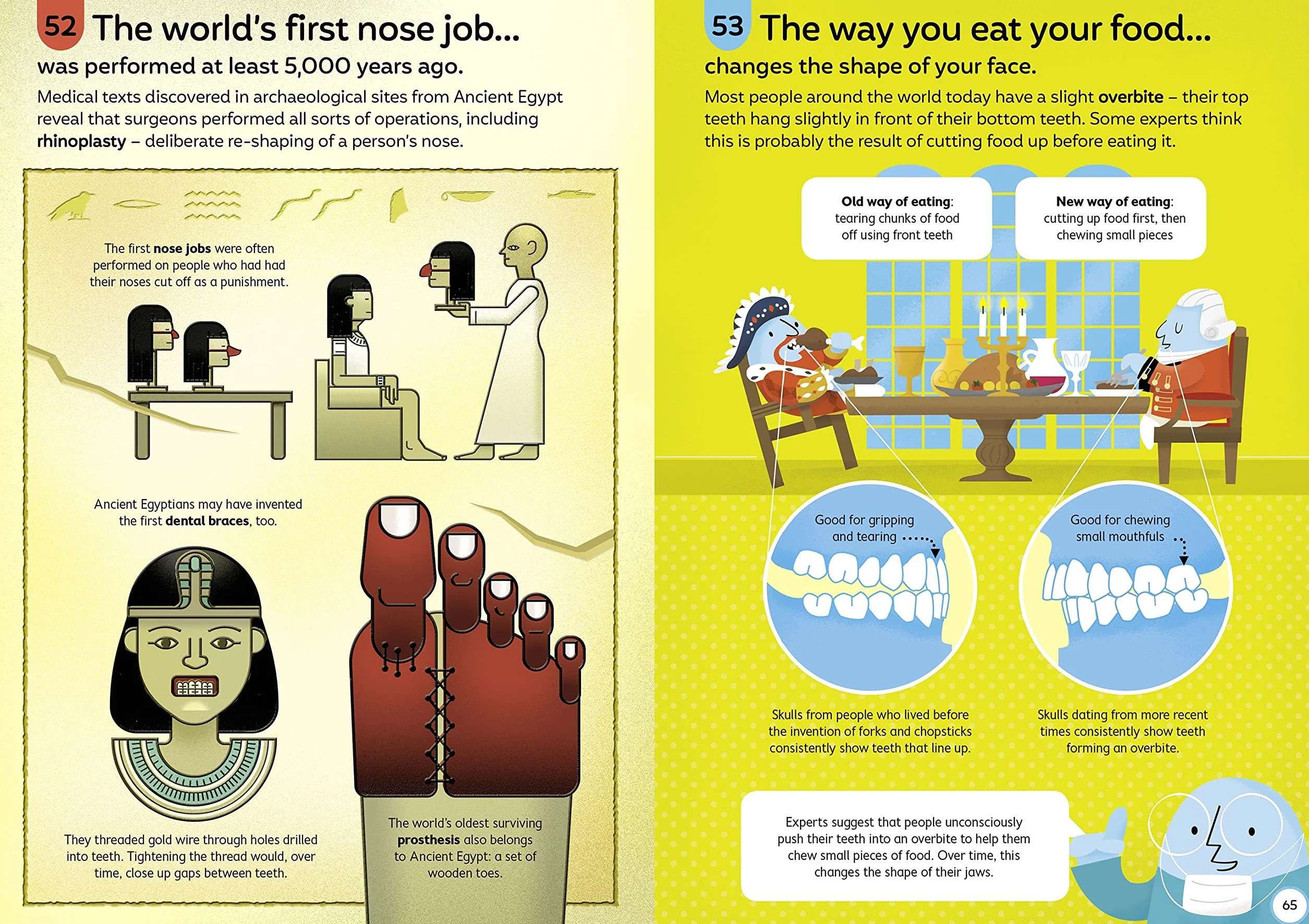 100 Things to Know About the Human Body