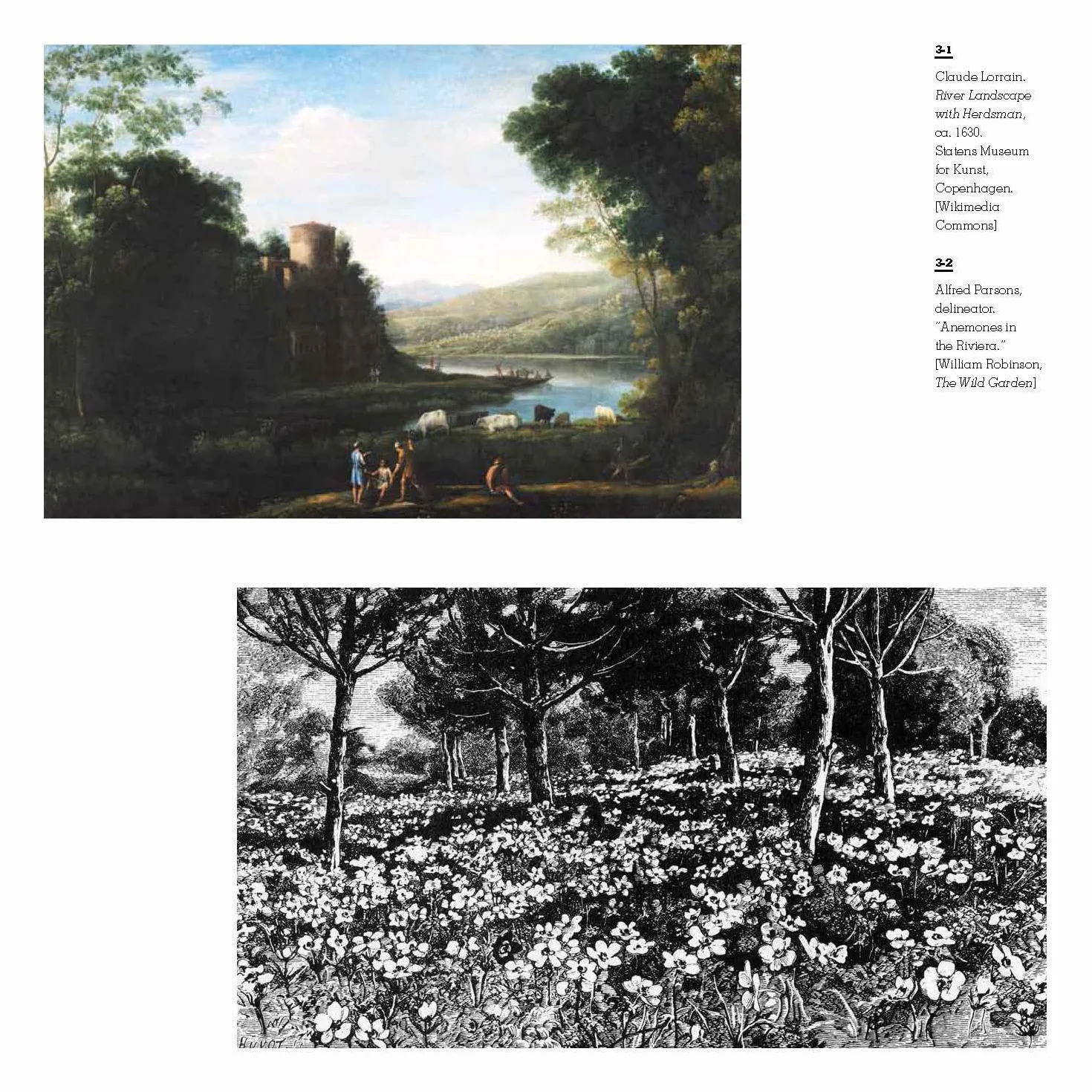 Aesthetics Of Contemporary Planting Design /anglais