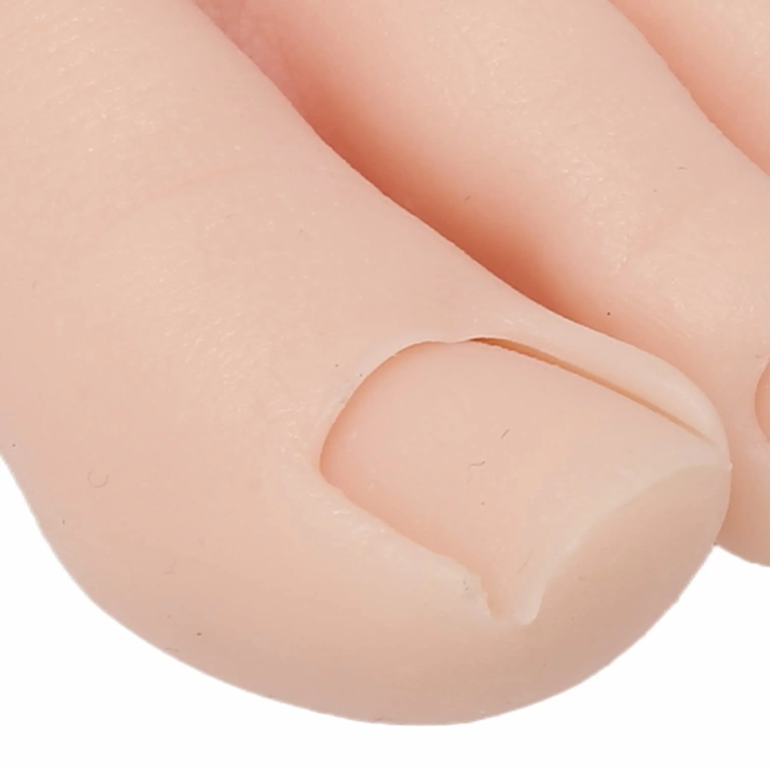 Praktyka Fake Foot Model, Silicone Fake Foot Tool, Prosthetic Manicure Training Display, Mannequin Feet (Lewy)