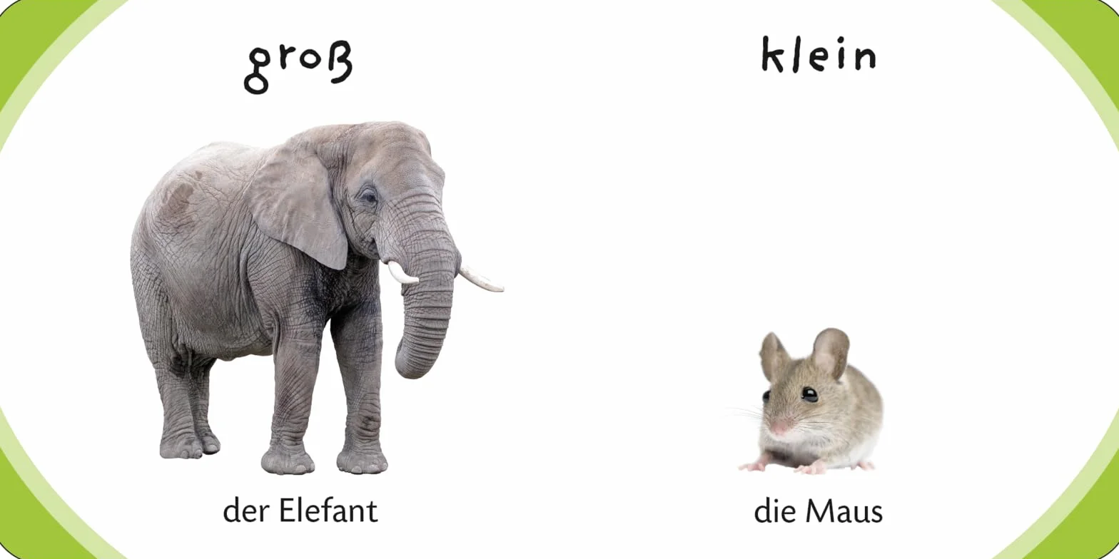 Kennst du das? Meine kleine Lernwelt: ab 12 Monaten: 3