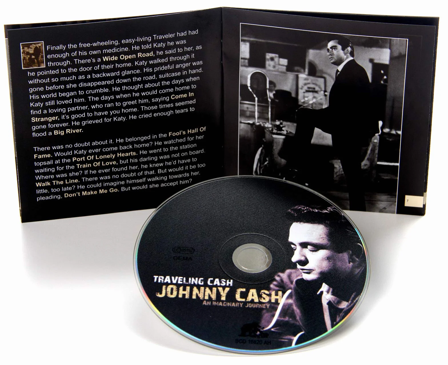 Traveling Cash - An Imaginary Journey