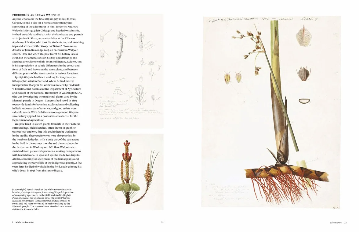 Botanical Sketchbooks (paperback) /anglais