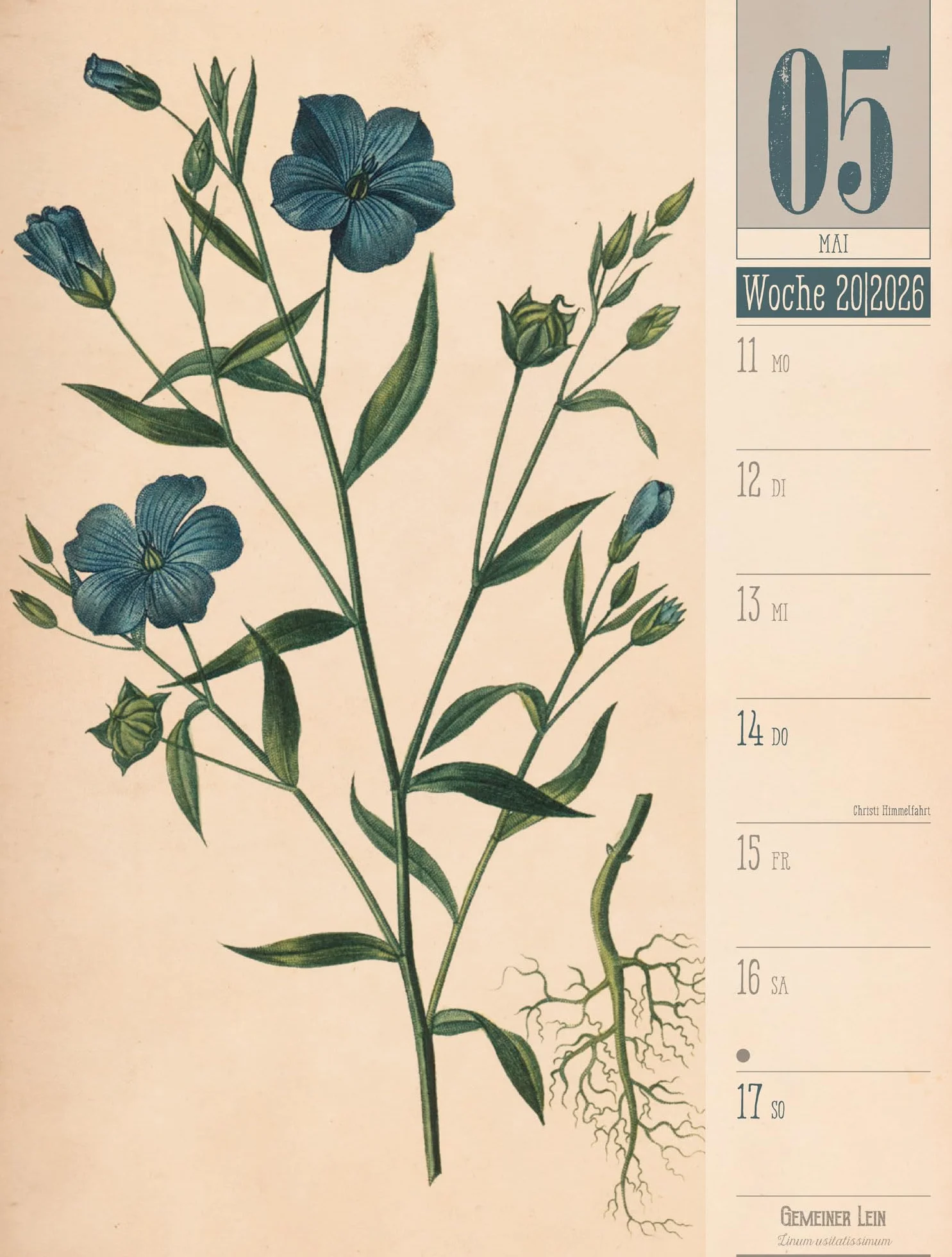 Culinarium Wochenplaner Kalender 2026 | Küche, Kräuter, Kurioses: Informativer Küchen-Wochenkalender im Hochformat (25x33 cm) | Vintage & Retro