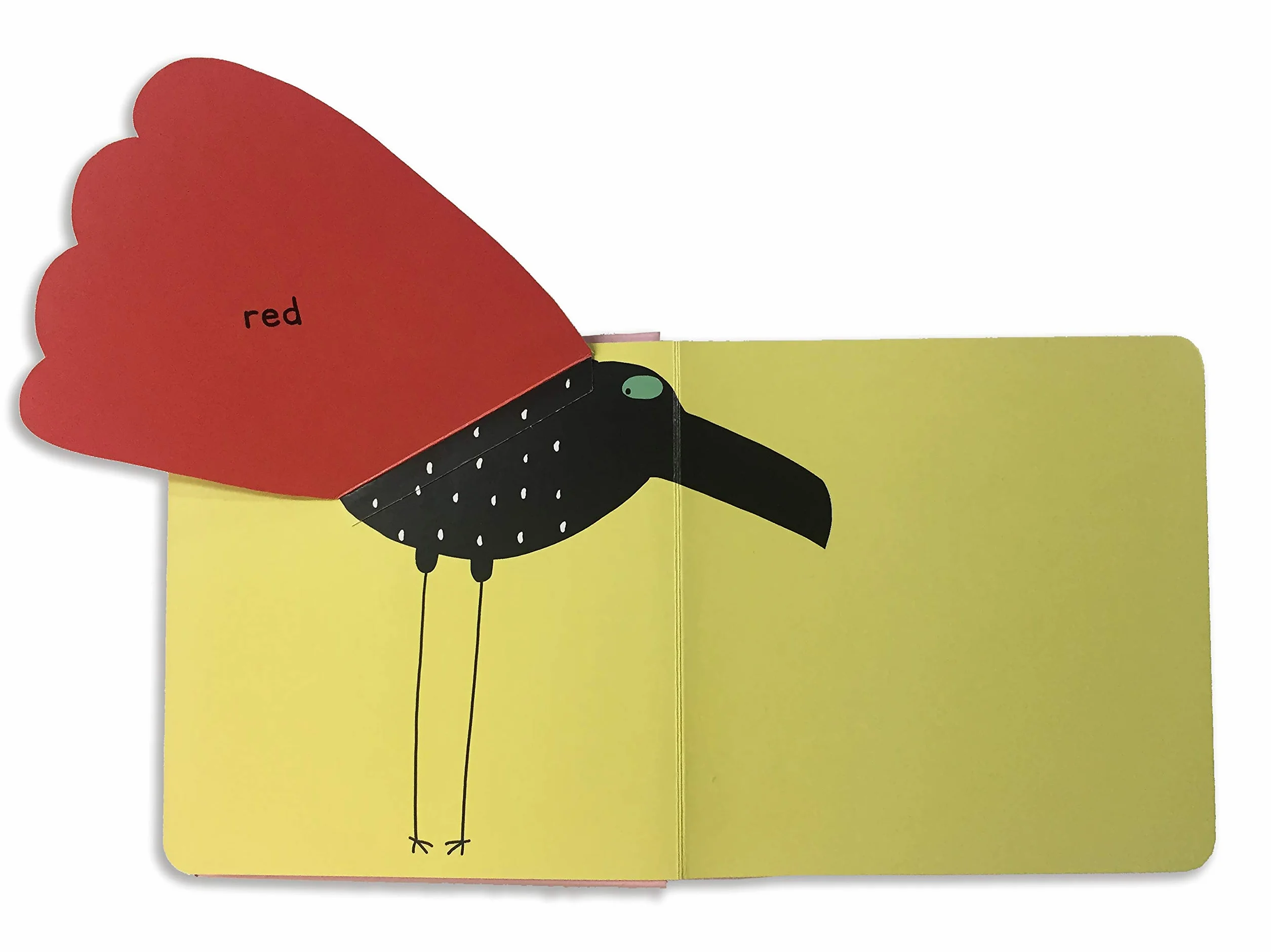Surprising Birds: Lift-the-Flap Colours (Walker Studio)