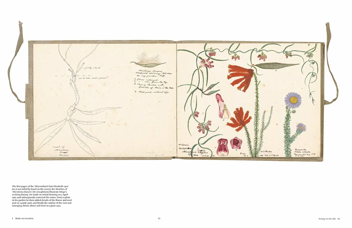 Botanical Sketchbooks (paperback) /anglais