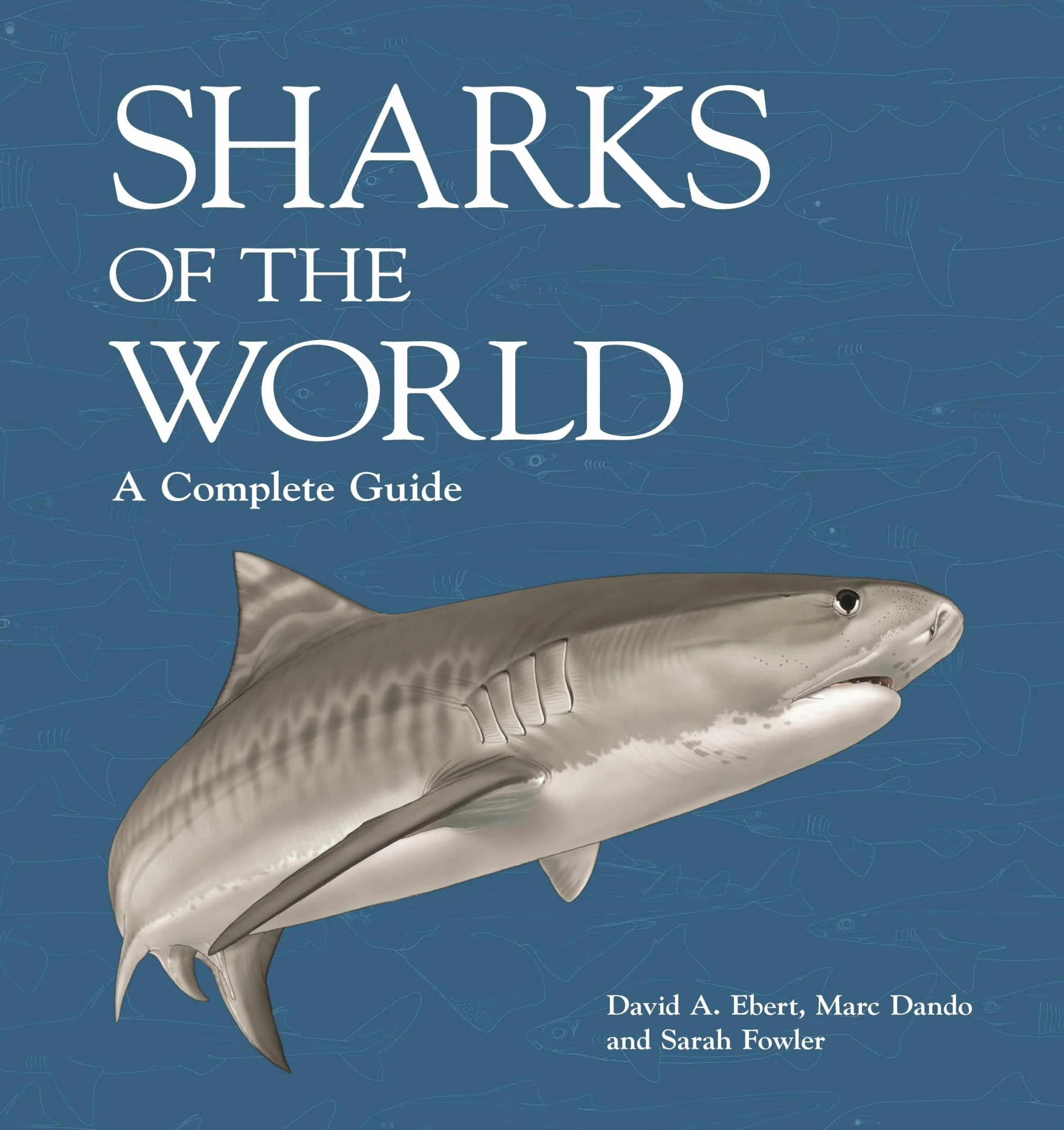 Sharks of the World: A Complete Guide: 19