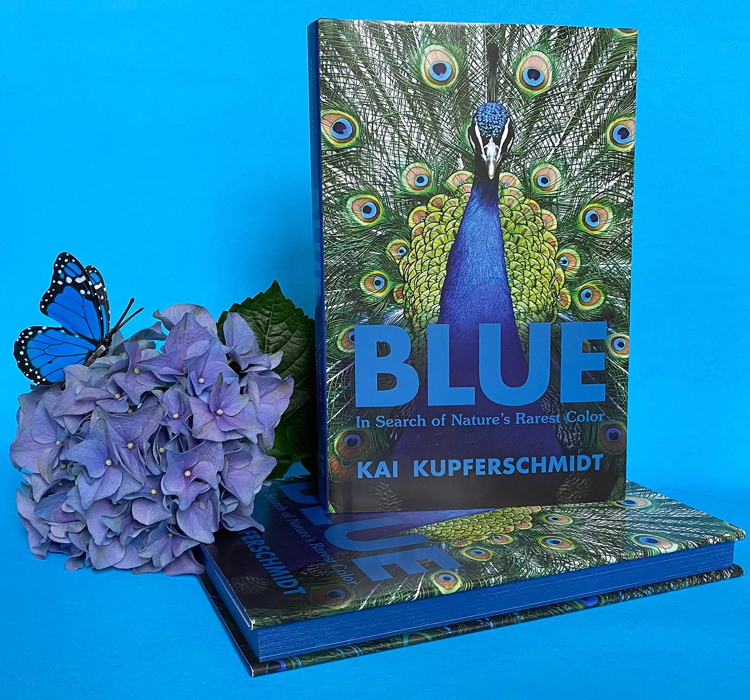 Blue: In Search of Nature's Rarest Color