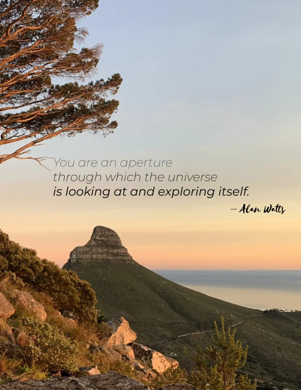 Daily Journal of Allan Watts Quotes: Inspiration fulfilled