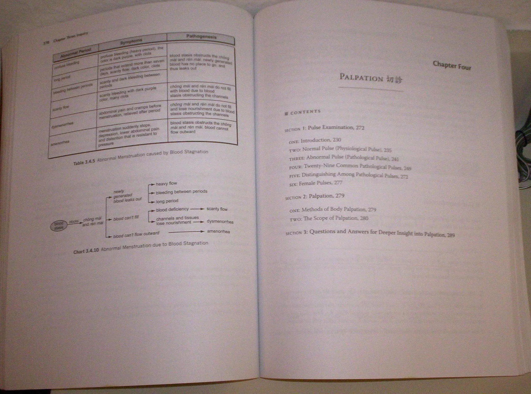 Traditional Chinese Medicine Diagnosis Study Guide