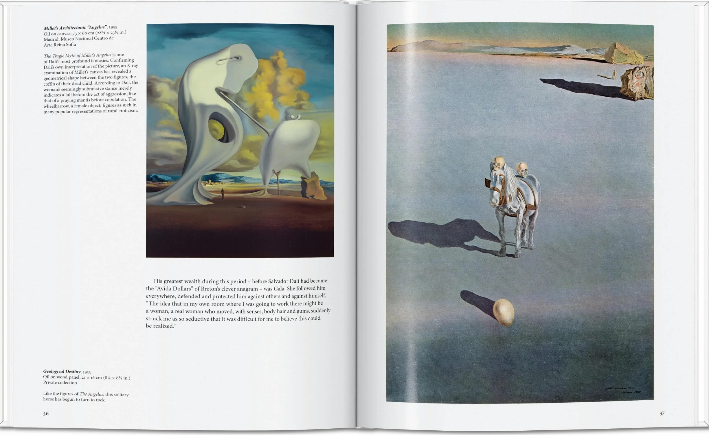 BA-ART, DALI -ANGLAIS-
