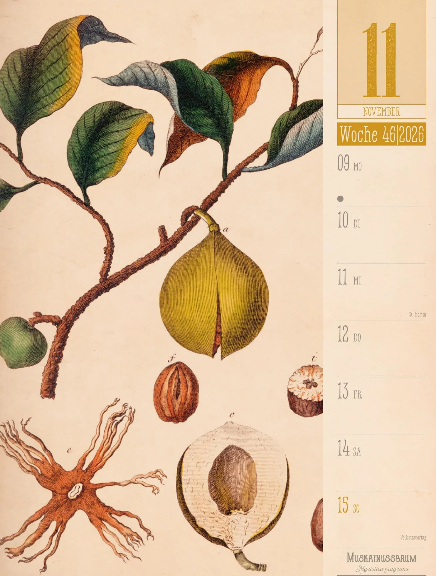 Culinarium Wochenplaner Kalender 2026 | Küche, Kräuter, Kurioses: Informativer Küchen-Wochenkalender im Hochformat (25x33 cm) | Vintage & Retro