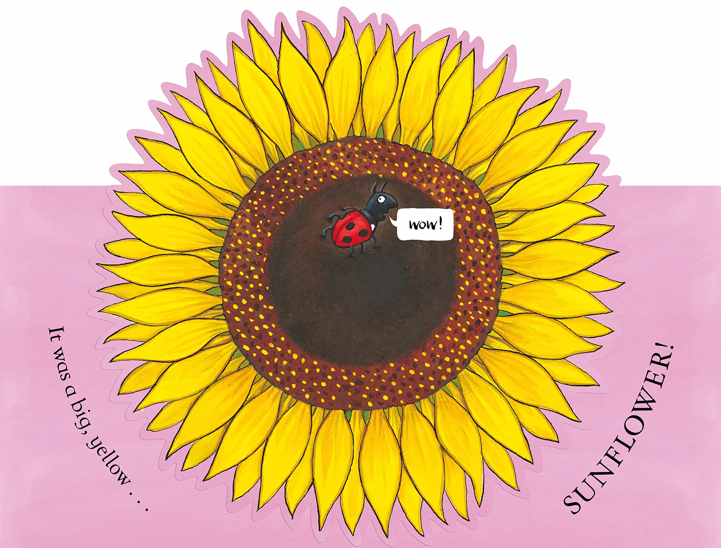 National Trust: Sam Plants a Sunflower