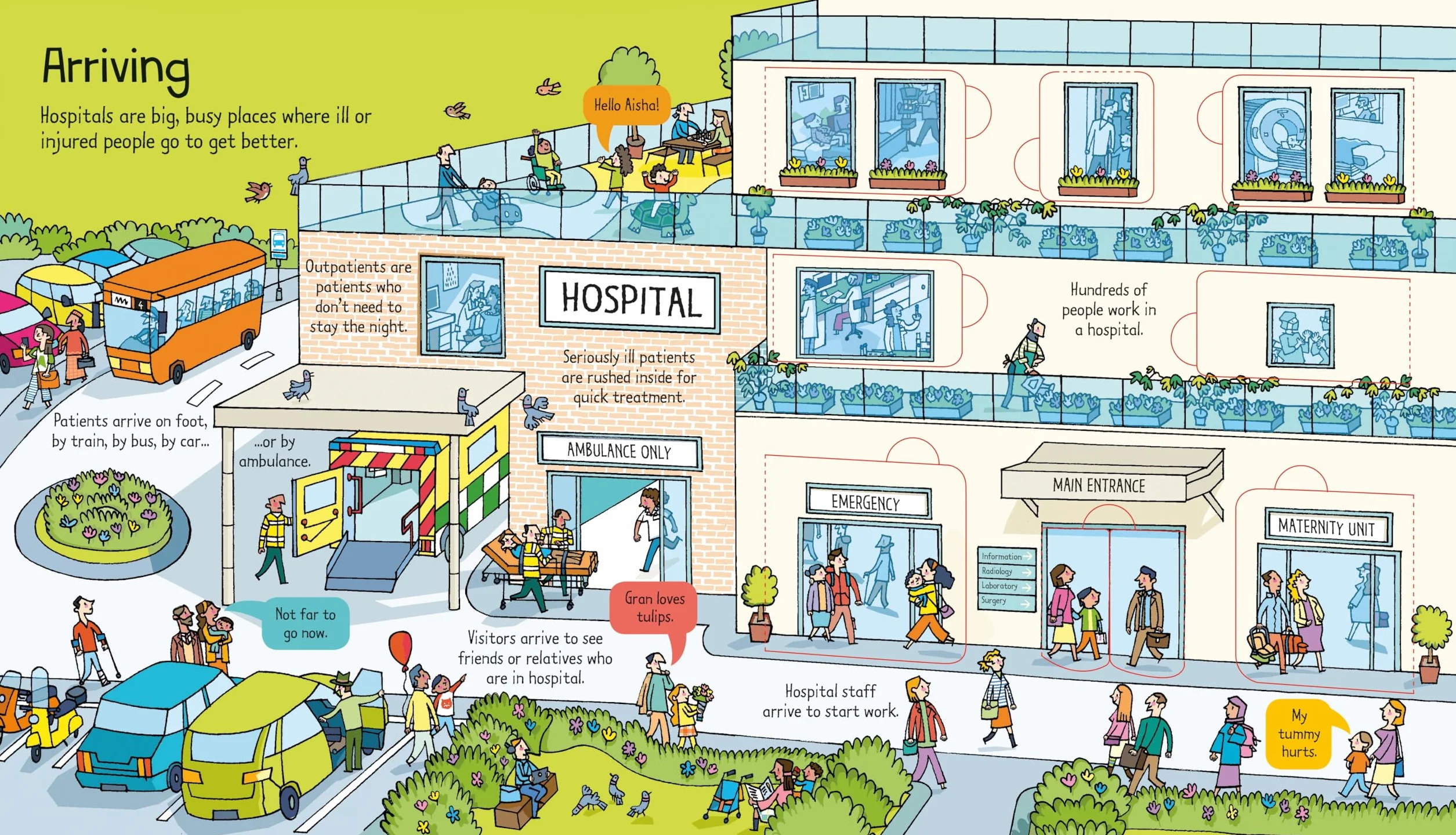 Look Inside a Hospital: 1