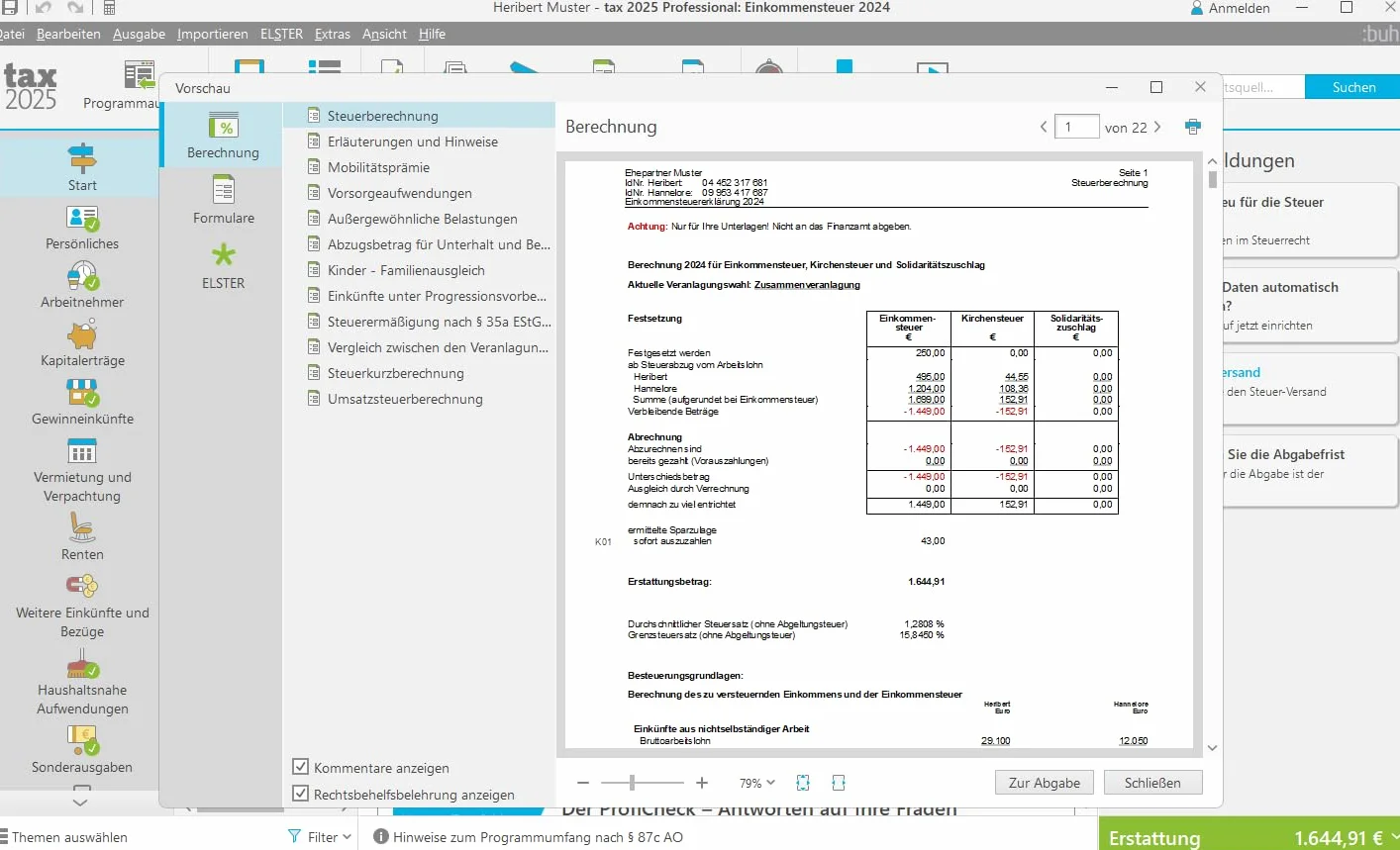 tax 2025 Professional: Steuererklärungen 2024 für Unternehmer & Selbständige