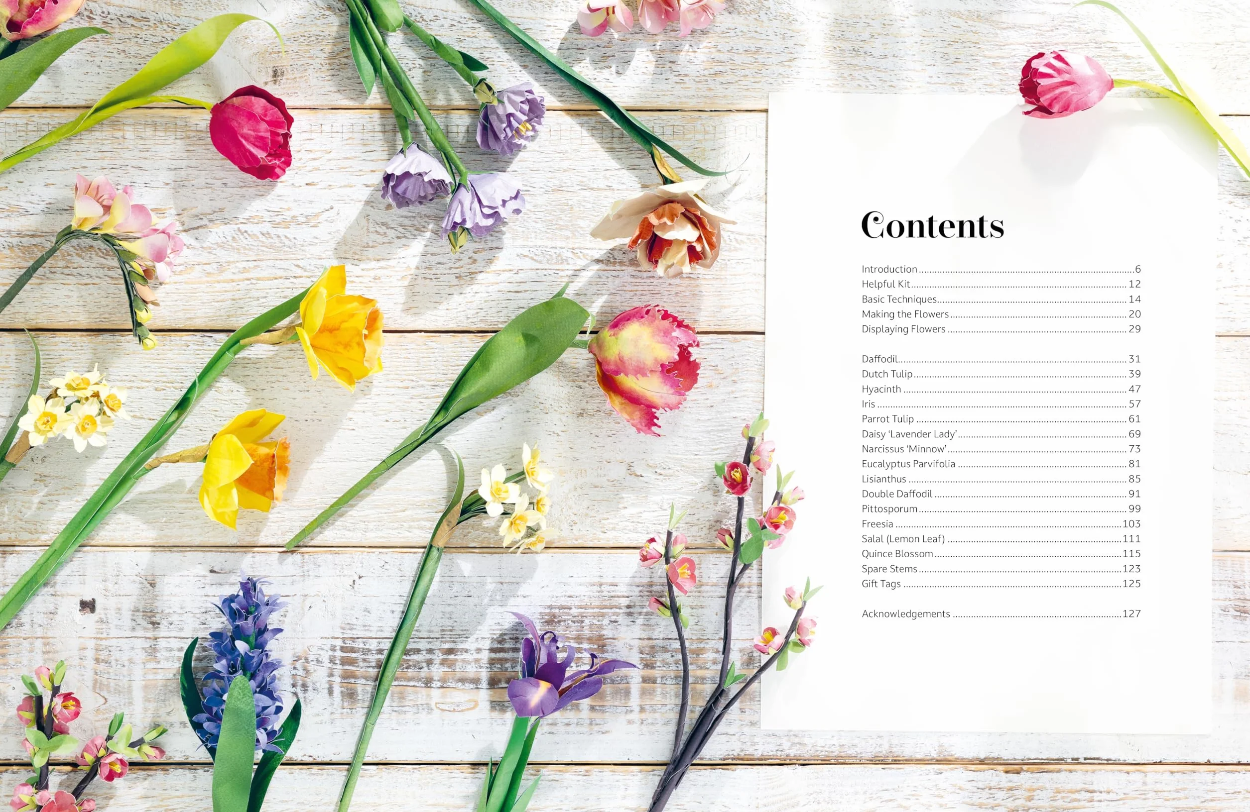 The Bouquet in a Book: Spring: Pre-Punched Pages to Press Out and Make Paper Flowers: 3