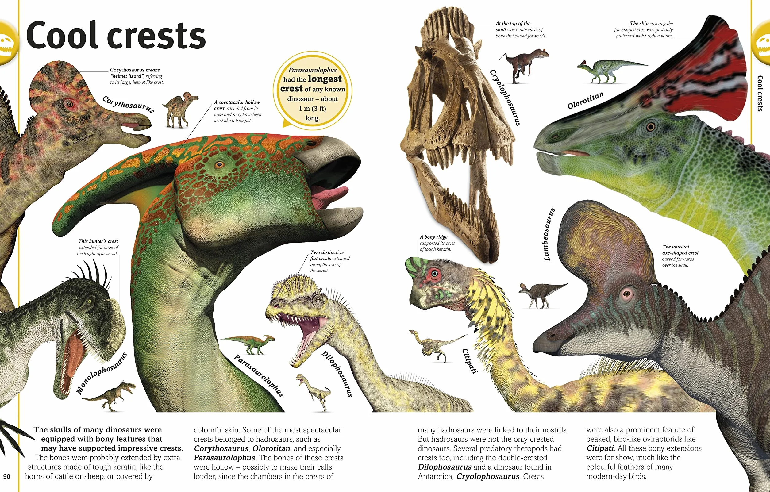The Dinosaurs Book: Our World in Pictures