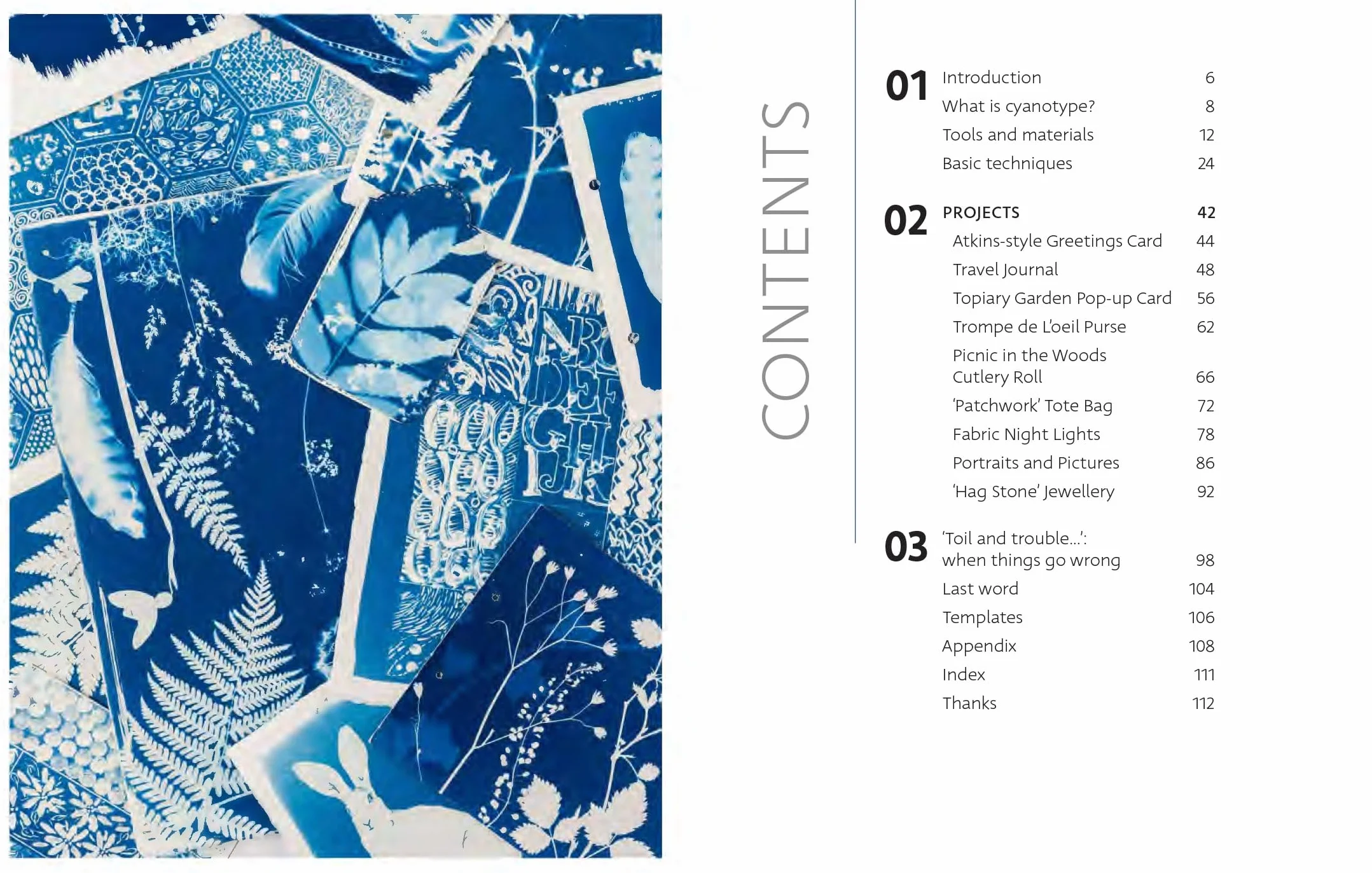 Beginner's Guide to Cyanotype: Beautiful Projects to Print with Light