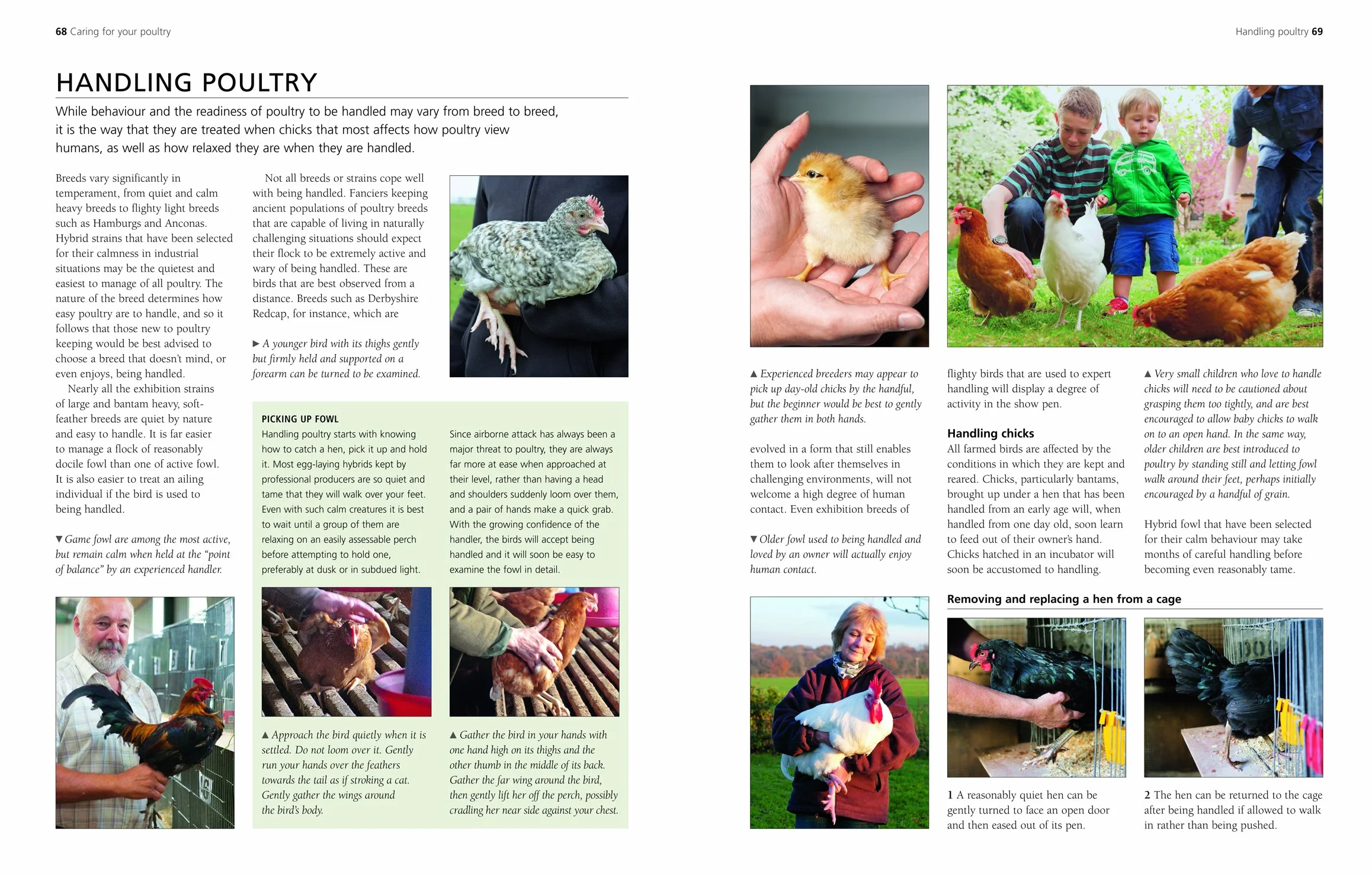 A Complete Practical Guide to Keeping Chickens: A Directory of Chickens, Ducks, Geese and Turkeys, and How to Keep Them, with Mmre Than 700 Photographs