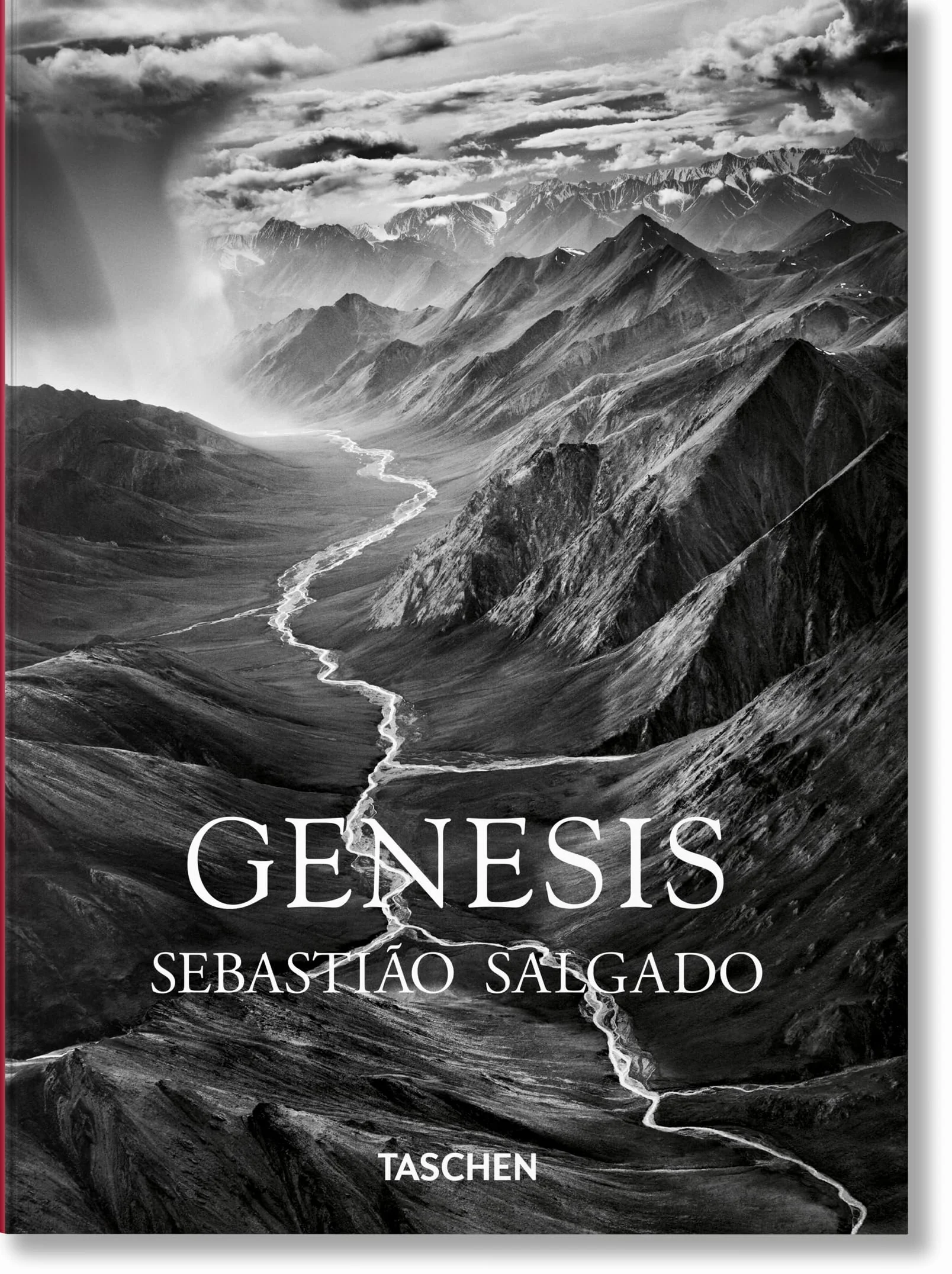 Salgado, Genesis