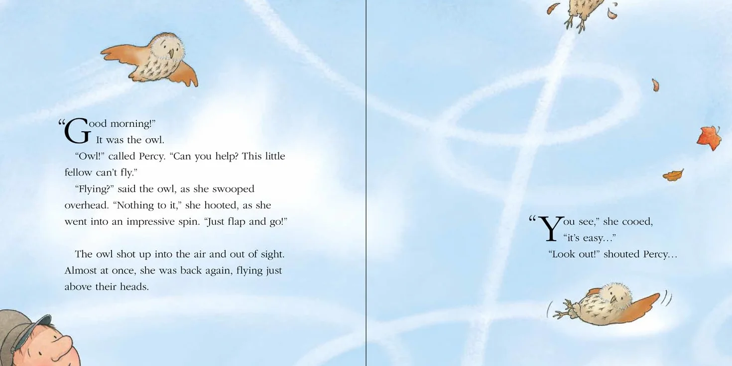 Owl’s Lesson: A funny illustrated children’s picture book about Percy the Park Keeper from the bestselling creator of One Snowy Night