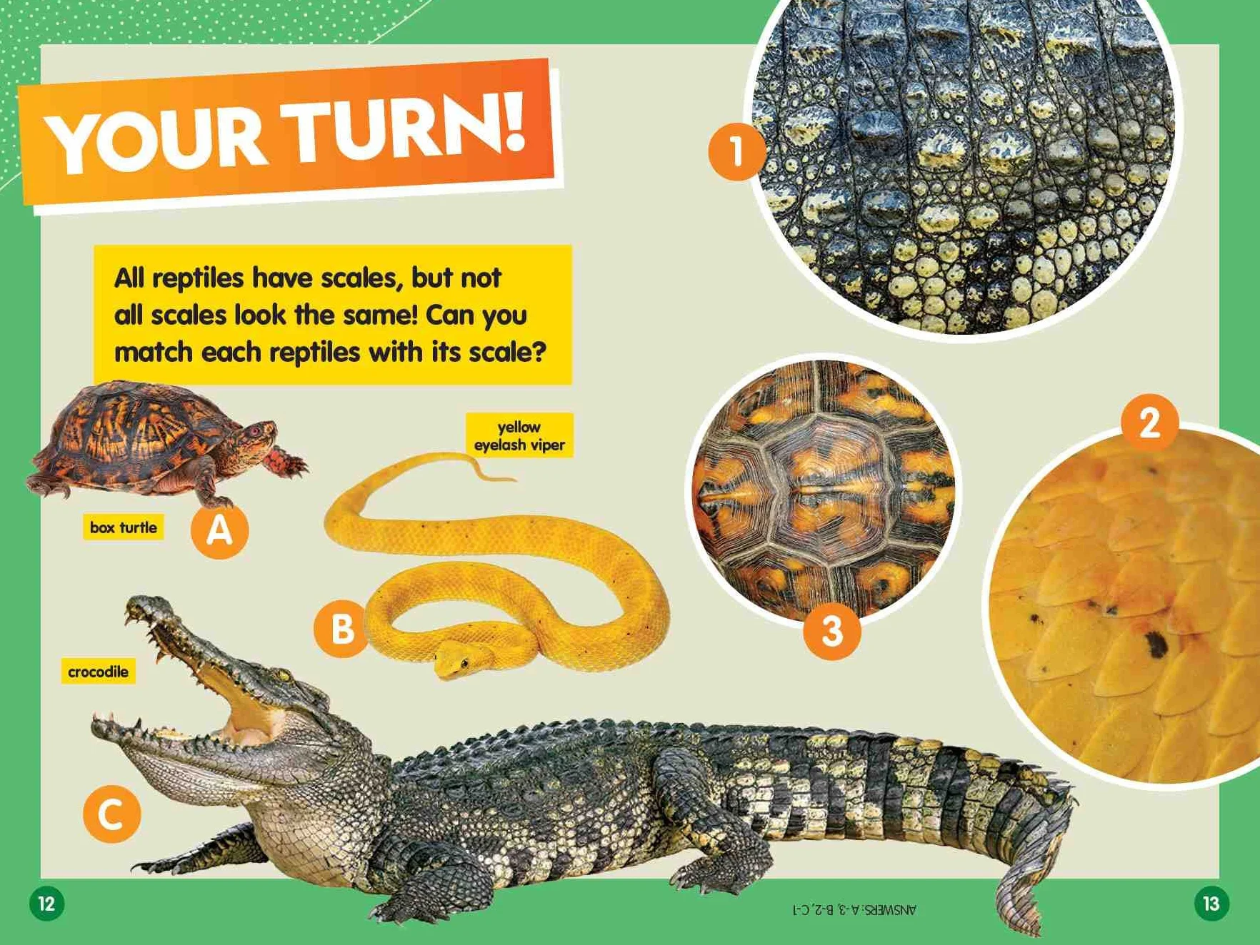 National Geographic Reader: Reptiles (L1/Co-reader)