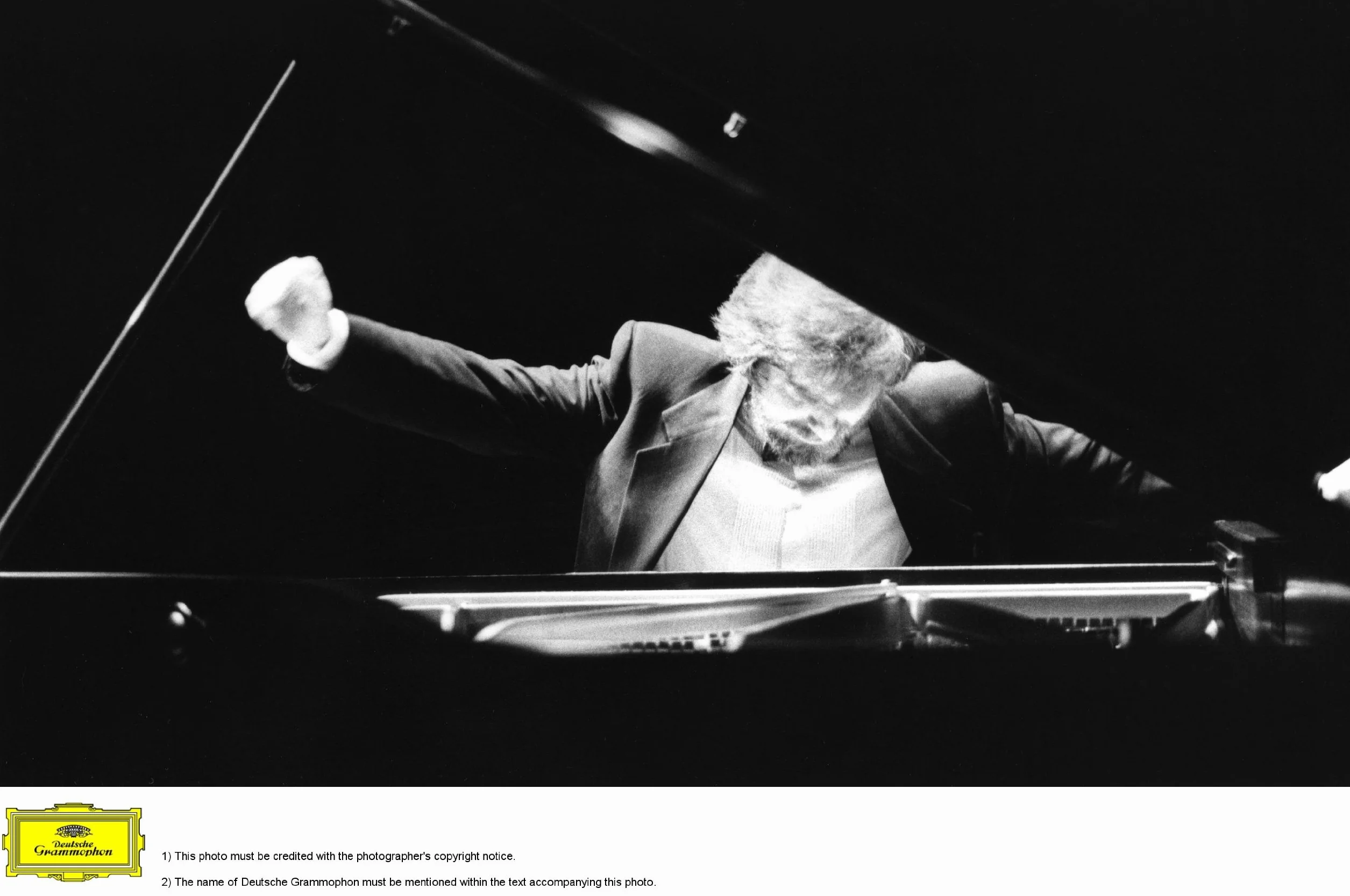 The Liszt Recordings