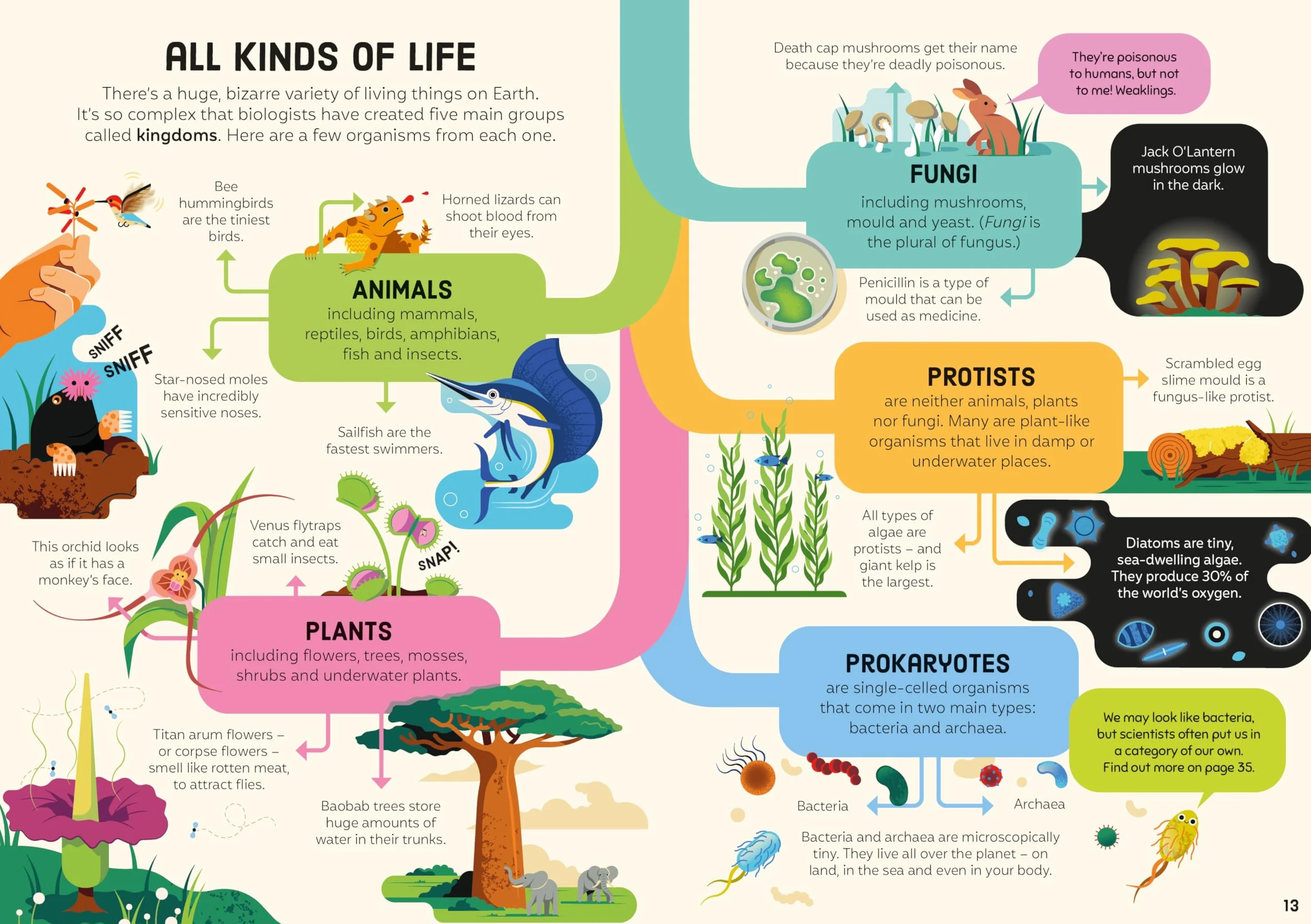Biology for Beginners