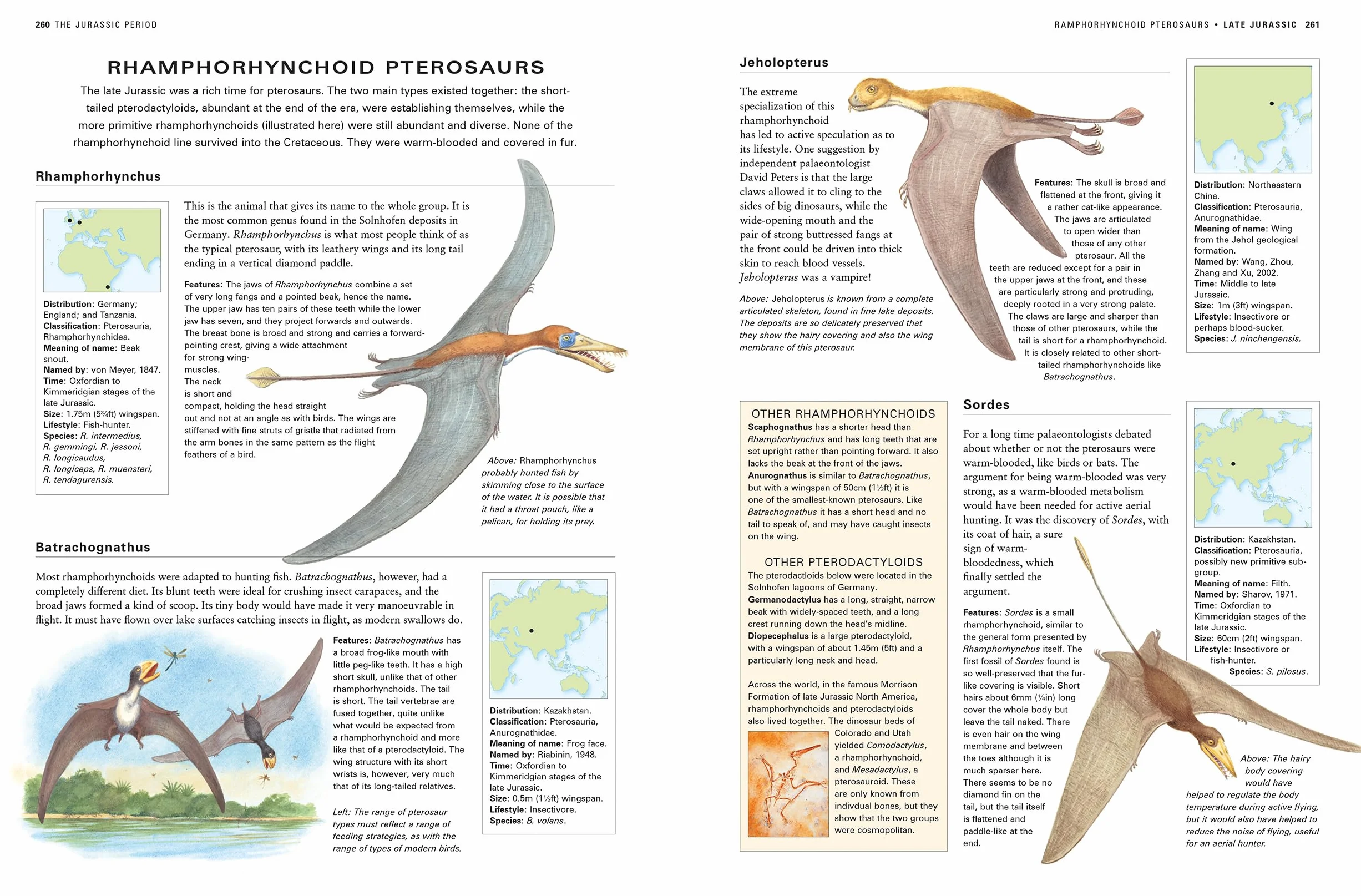 The Illustrated Encyclopedia of Dinosaurs and Prehistoric Creatures: The Ultimate Illustrated Reference Guide to 1000 Dinosaurs and Prehistoric Creatures, Updated and Revised