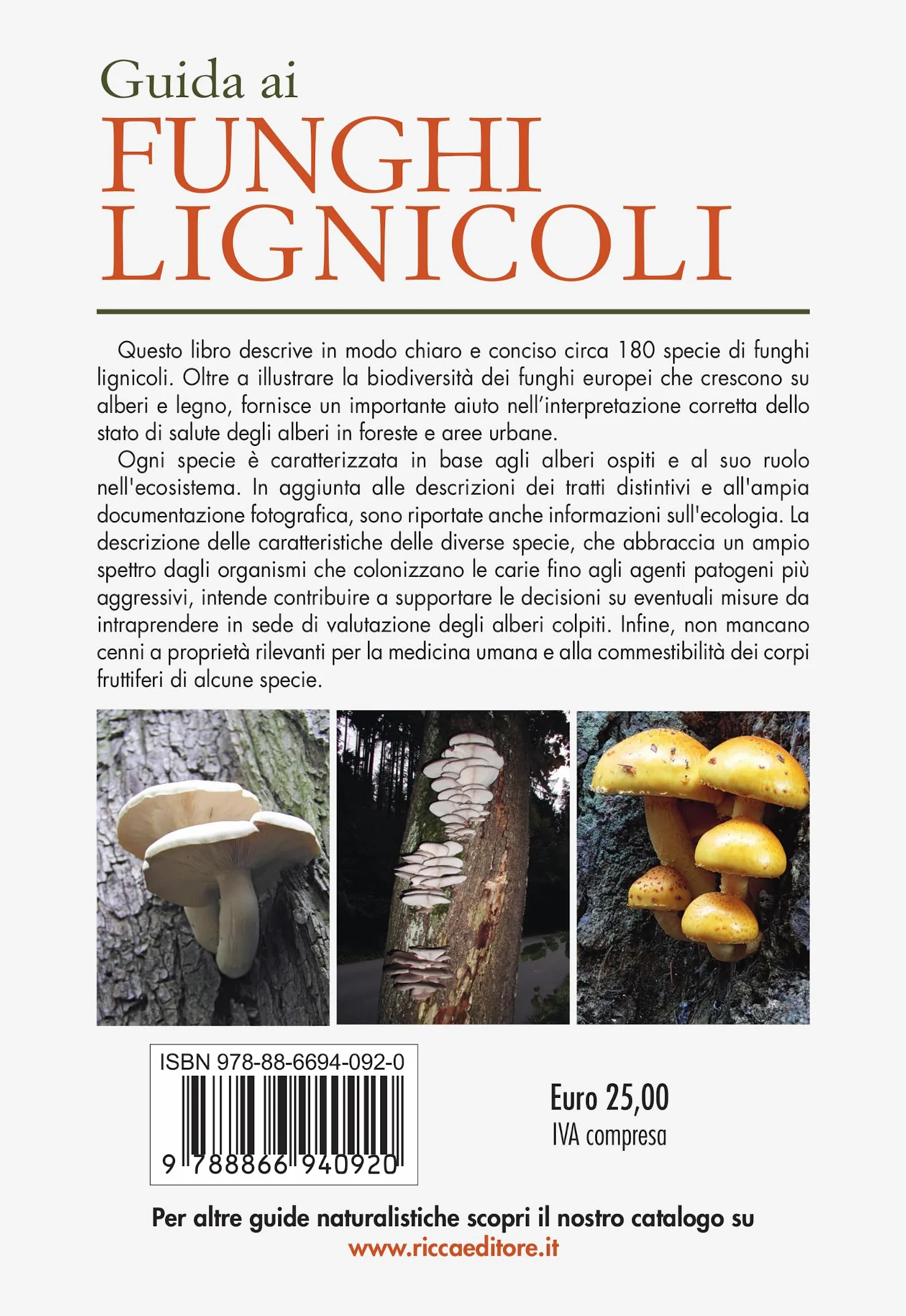 Guida ai funghi lignicoli