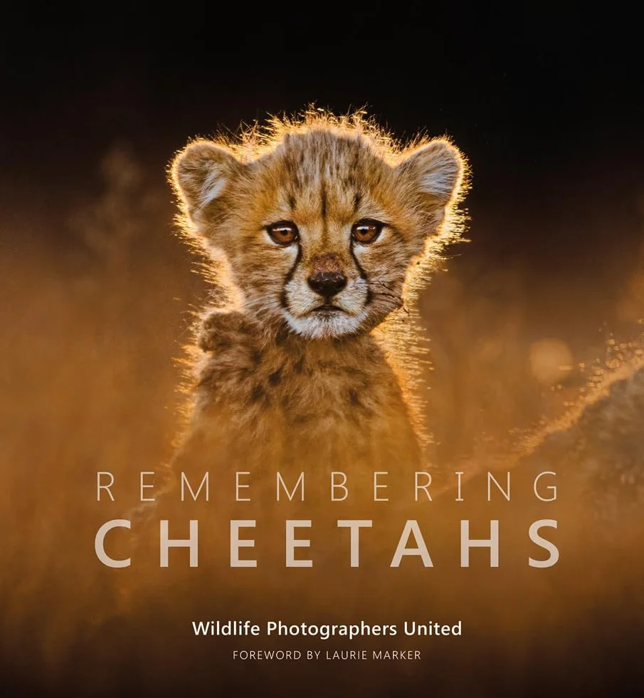 Remembering Cheetahs: 5