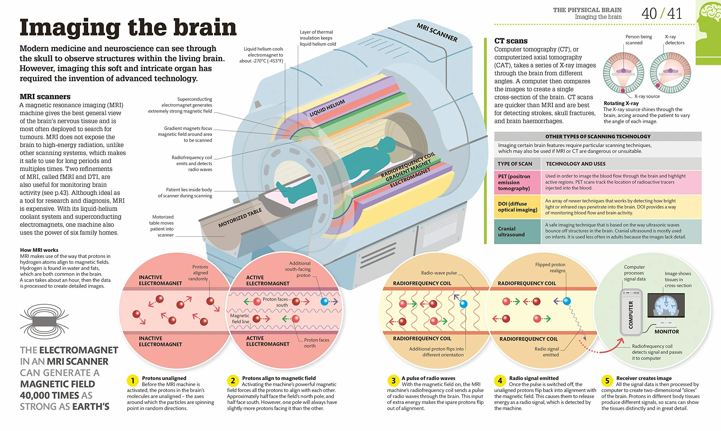 How the Brain Works: The Facts Visually Explained (How Things Work)