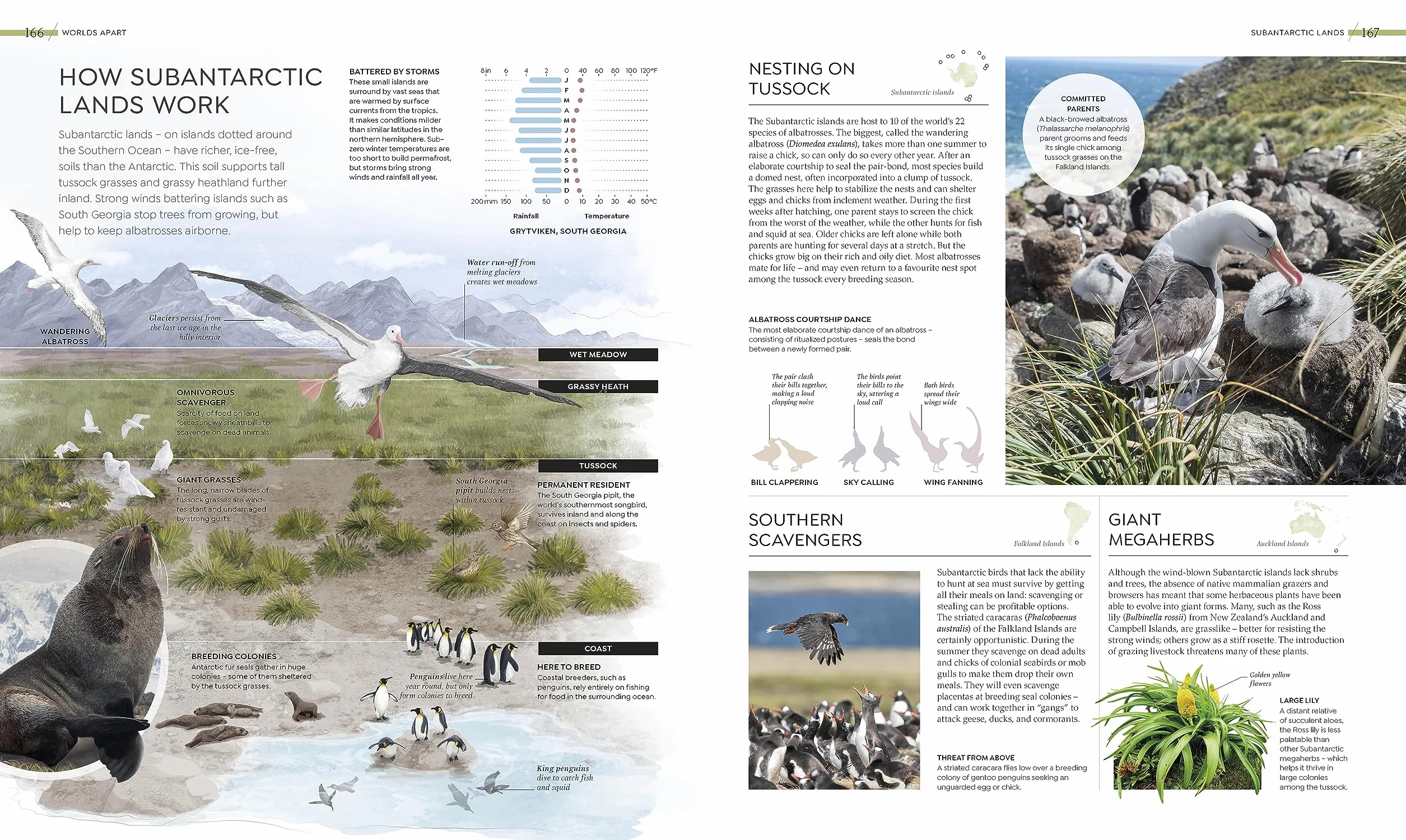 Habitats: Discover Earth's Precious Wild Places