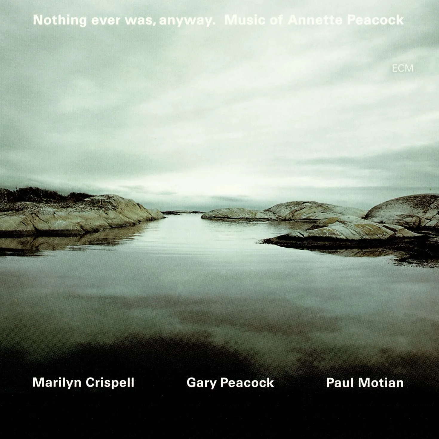 Nothing Ever Was, Anyway.: Music Of Annette Peacock