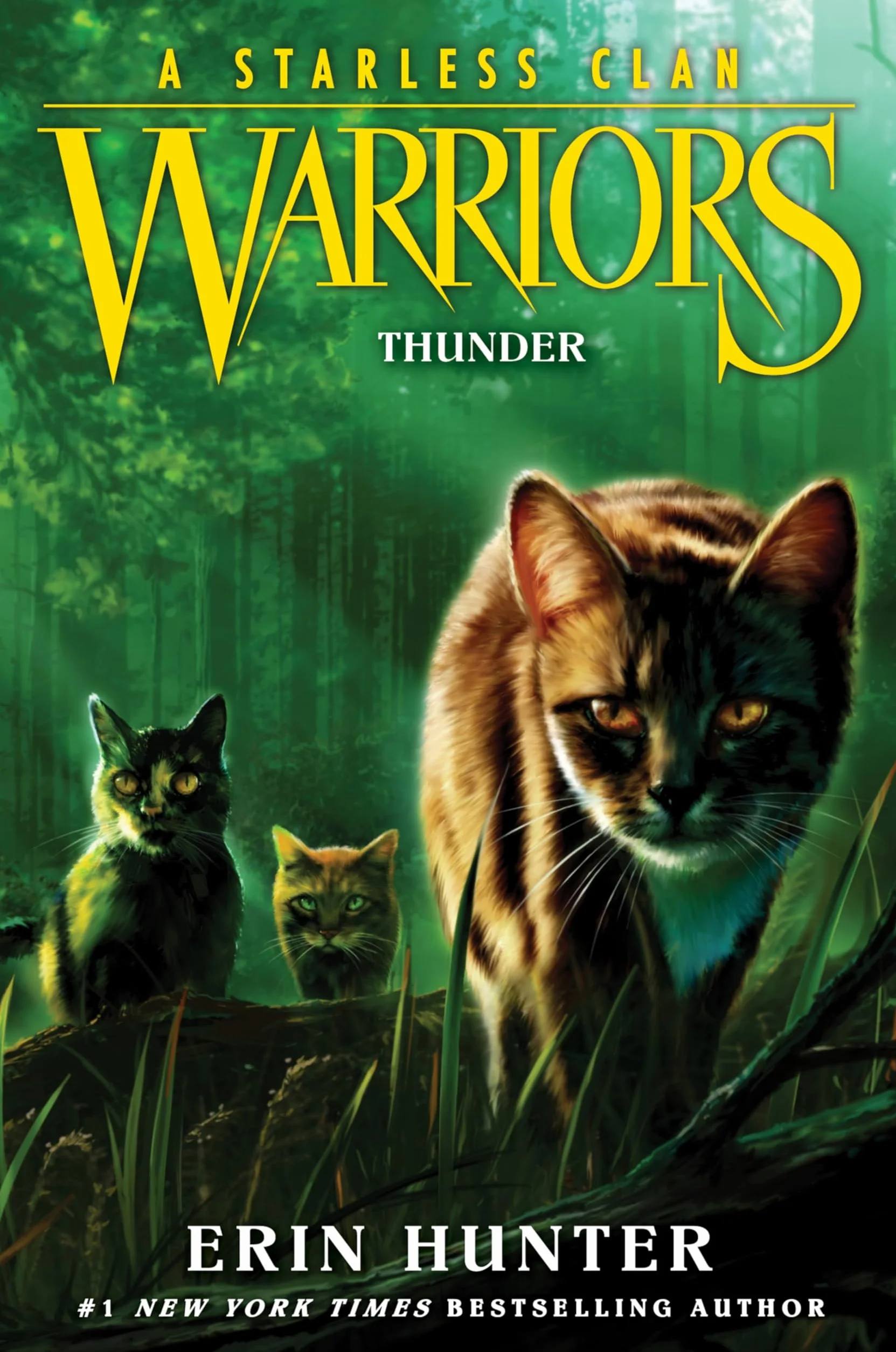 Warriors: A Starless Clan #4: Thunder
