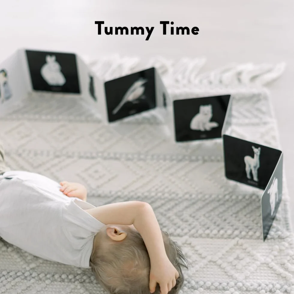 Baby's Black and White Contrast Book: High-Contrast Art for Visual Stimulation at Tummy Time: 4