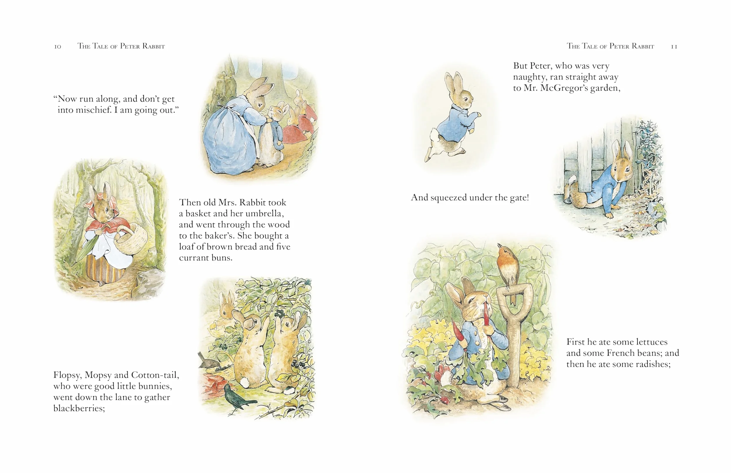 Beatrix Potter the Complete Tales: The Original and authorized editon