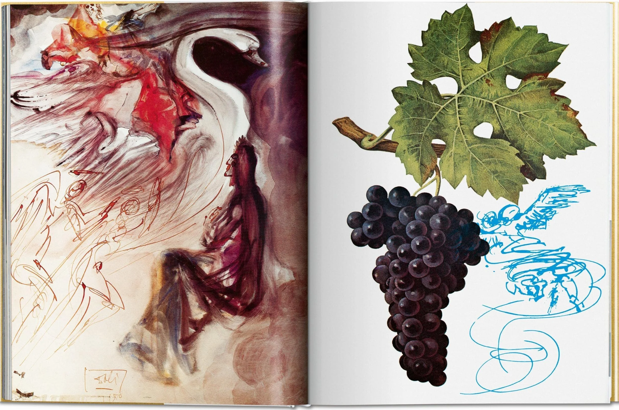 Dalí. the Wines of Gala