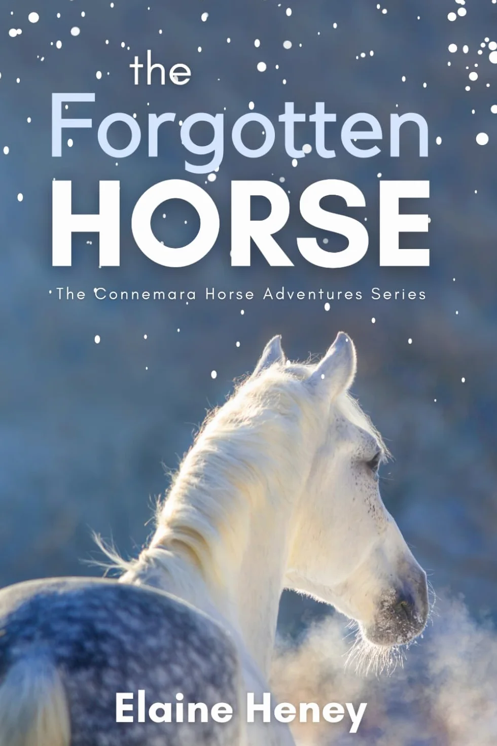 The Forgotten Horse - Book 1 in the Connemara Horse Adventure Series for Kids. The perfect gift for children age 8-12.