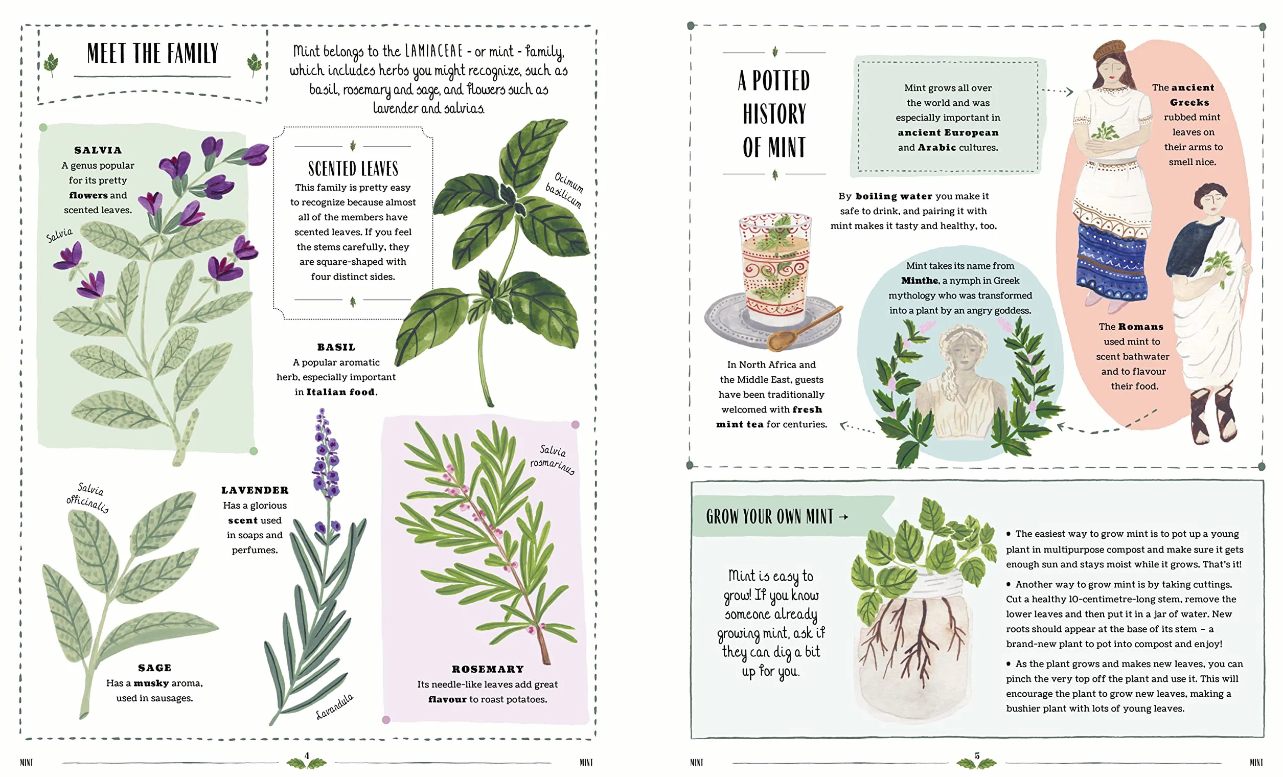 Grow: A first guide to plants and how to grow them