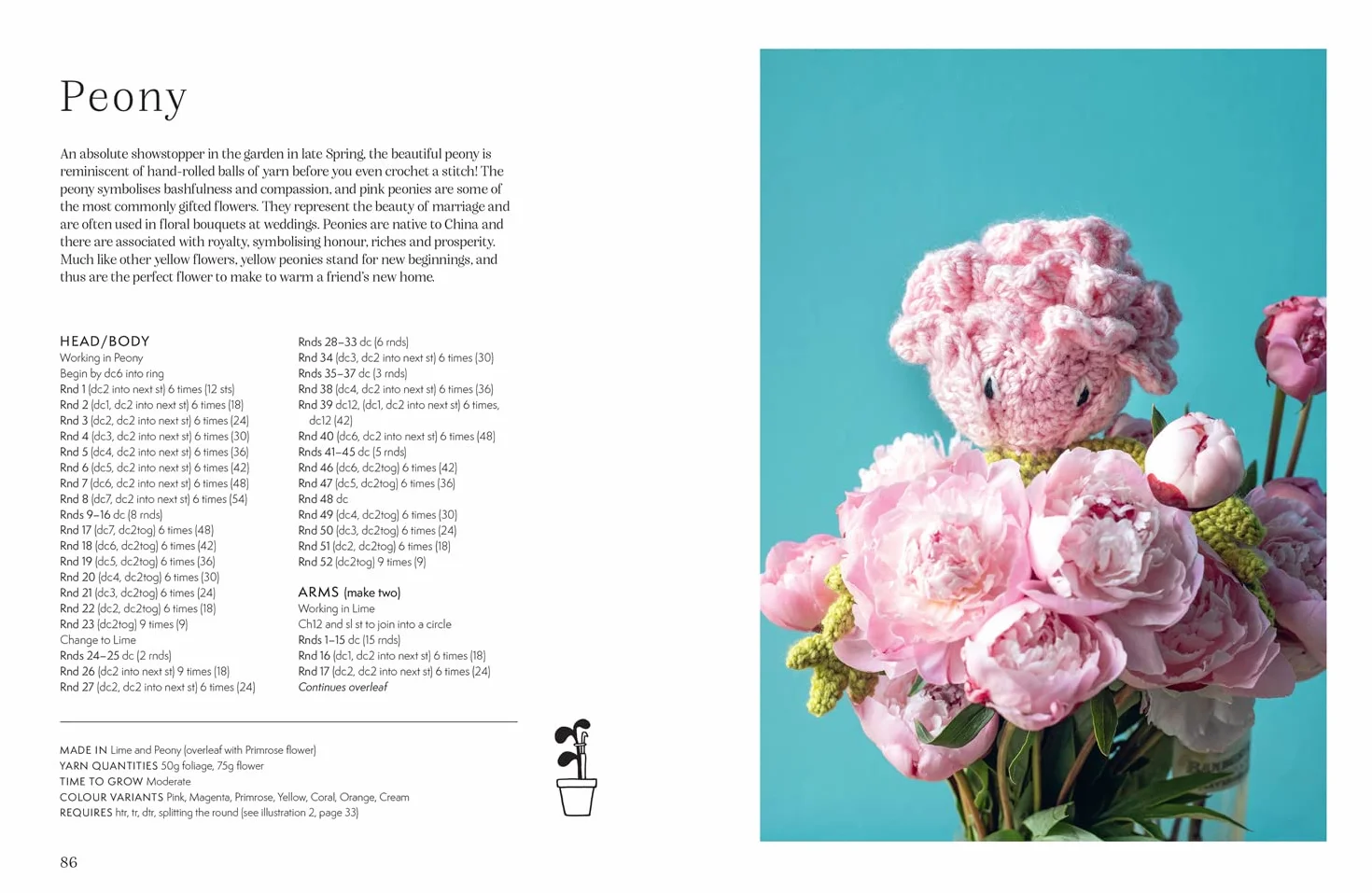 Alexandra's Garden Flowers: The new craft book from TOFT with 30 stunning crochet patterns for any ability