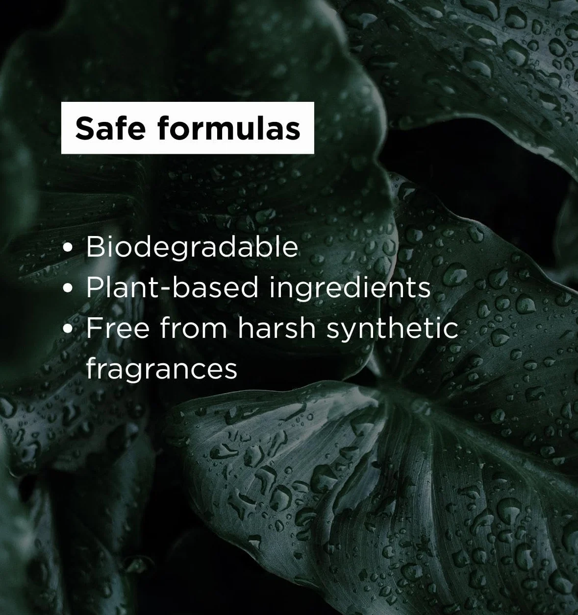 Płyn do mycia rąk i ciała, mydło w płynie z alantoiną Jagodowa rozkosz Liquid Hand and Body Soap, Berry Delight