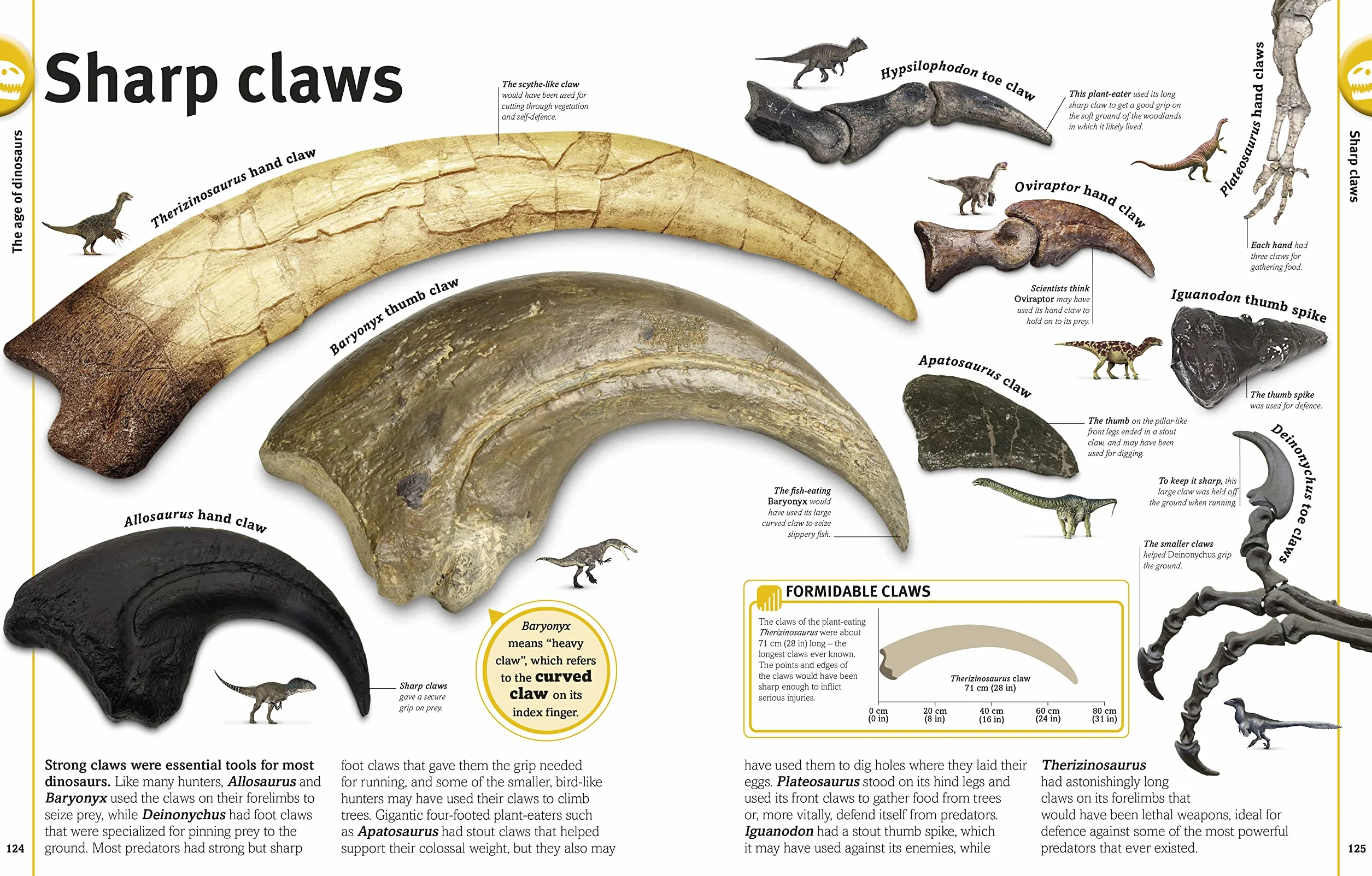 The Dinosaurs Book: Our World in Pictures