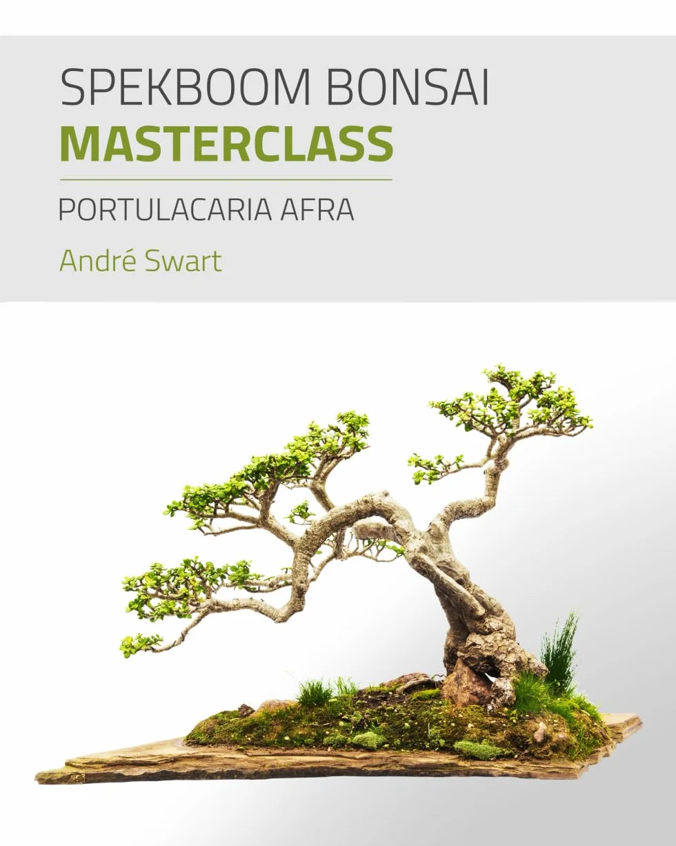 Spekboom Bonsai Masterclass: Portulacaria Afra